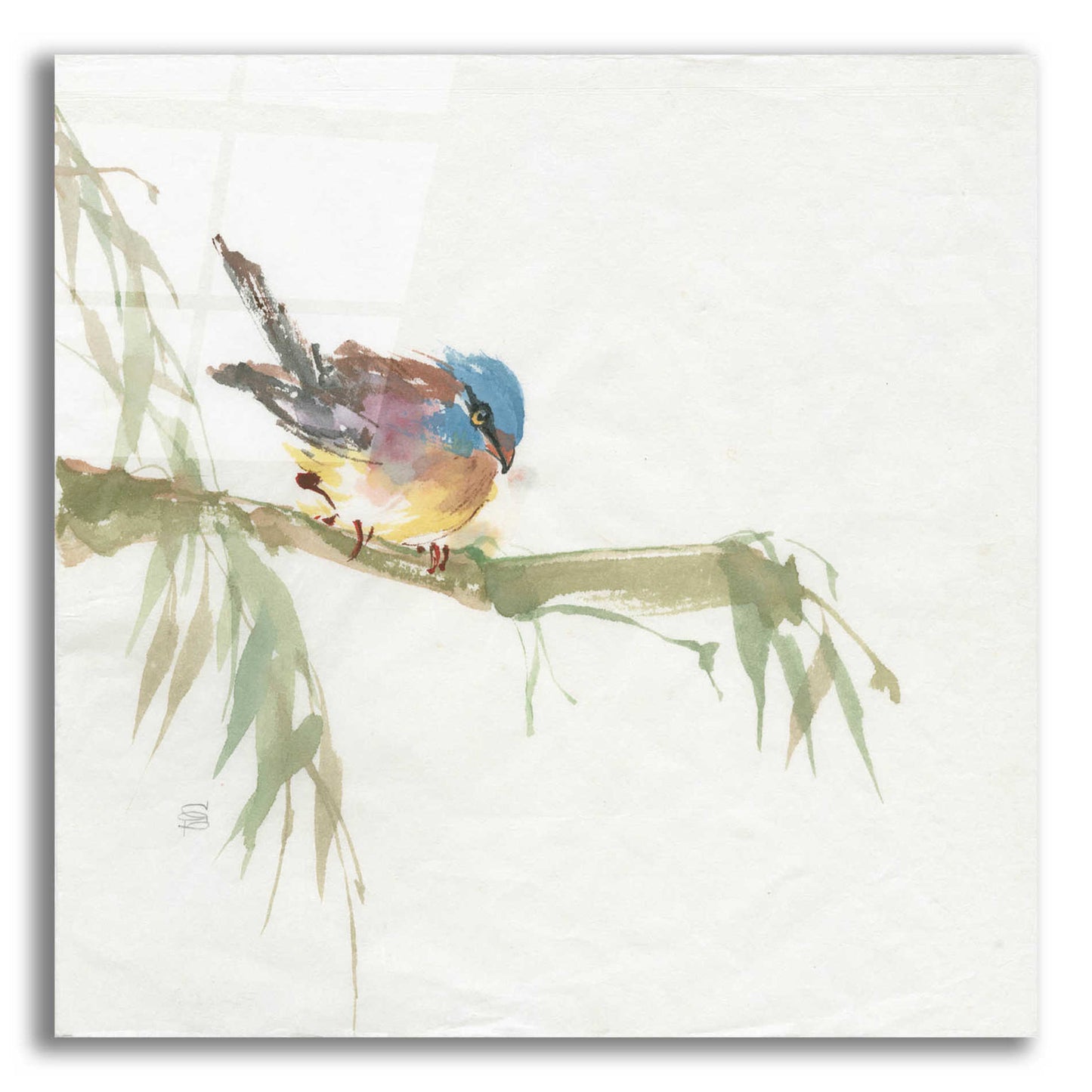 Epic Art 'Finch' by Chris Paschke, Acrylic Glass Wall Art,12x12