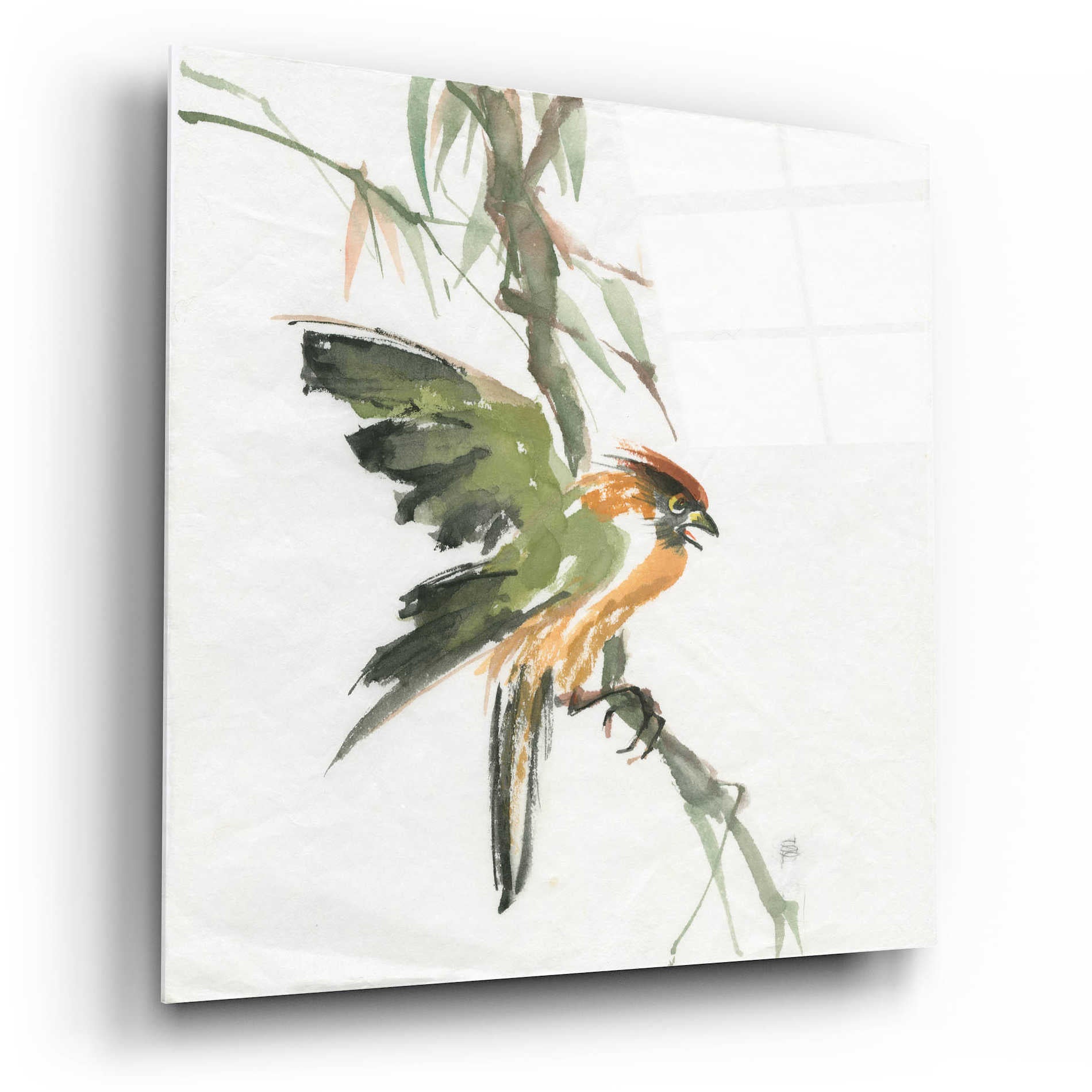 Epic Art 'Formosan Firecrest' by Chris Paschke, Acrylic Glass Wall Art,12x12