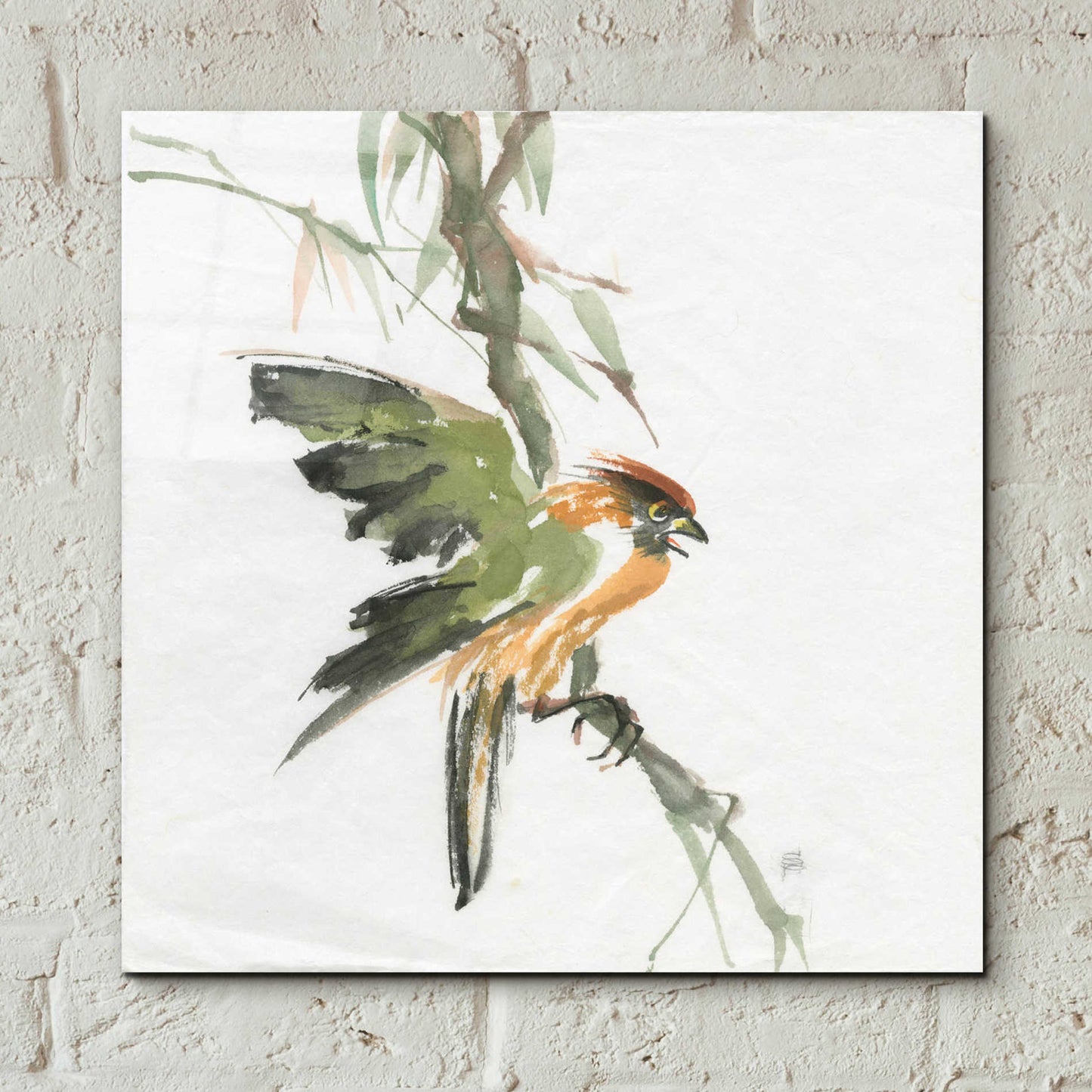 Epic Art 'Formosan Firecrest' by Chris Paschke, Acrylic Glass Wall Art,12x12