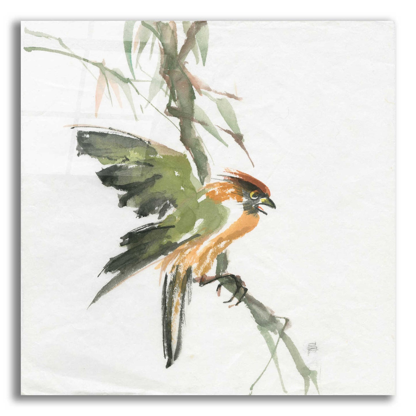 Epic Art 'Formosan Firecrest' by Chris Paschke, Acrylic Glass Wall Art,12x12