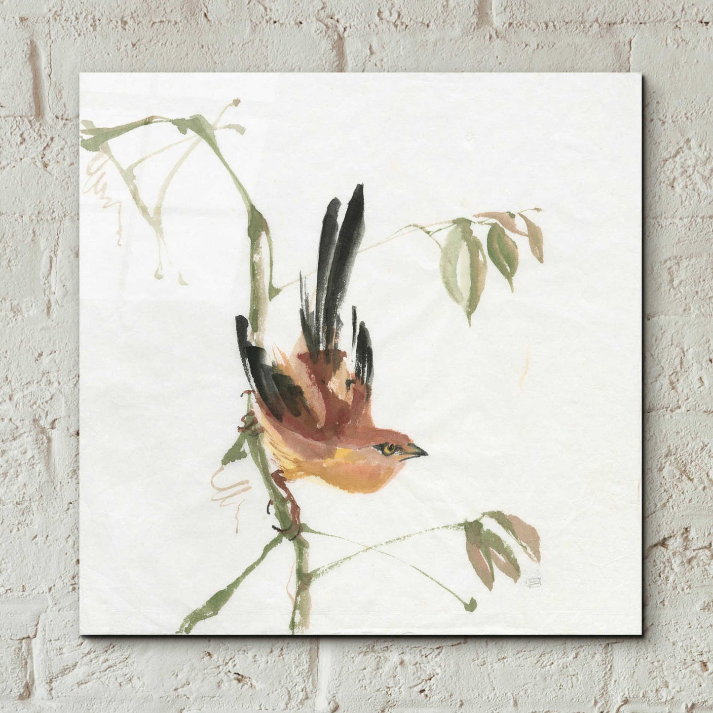 Epic Art 'Mountain Bush Warbler' by Chris Paschke, Acrylic Glass Wall Art,12x12