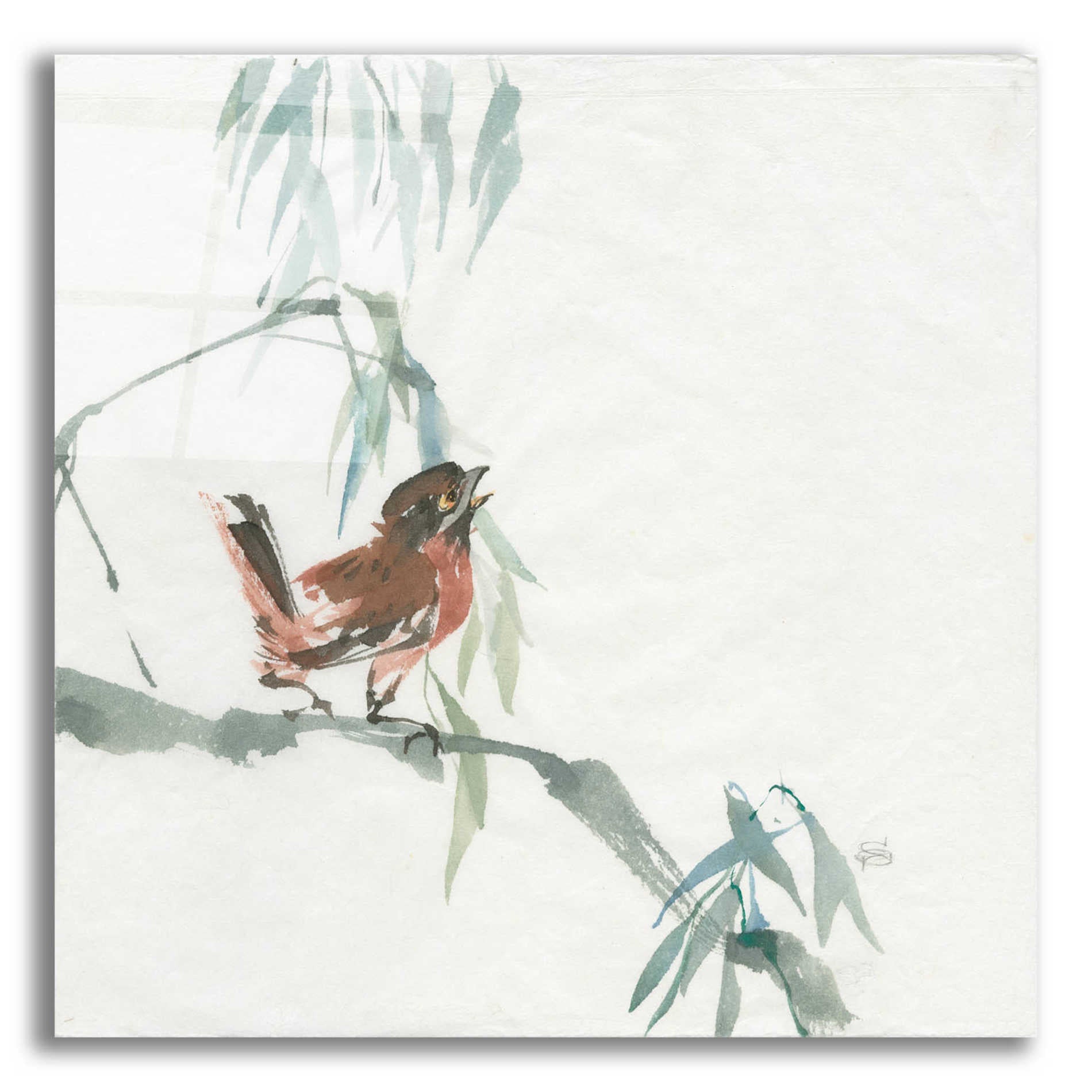 Epic Art 'Russet Sparrow' by Chris Paschke, Acrylic Glass Wall Art,12x12