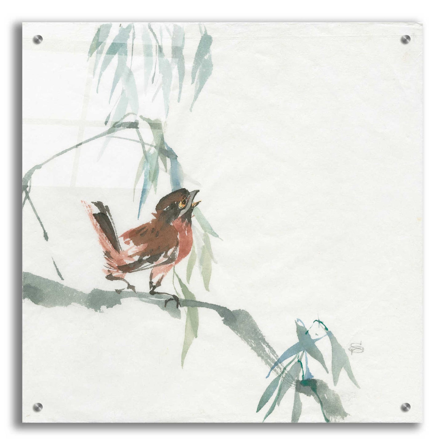 Epic Art 'Russet Sparrow' by Chris Paschke, Acrylic Glass Wall Art,24x24