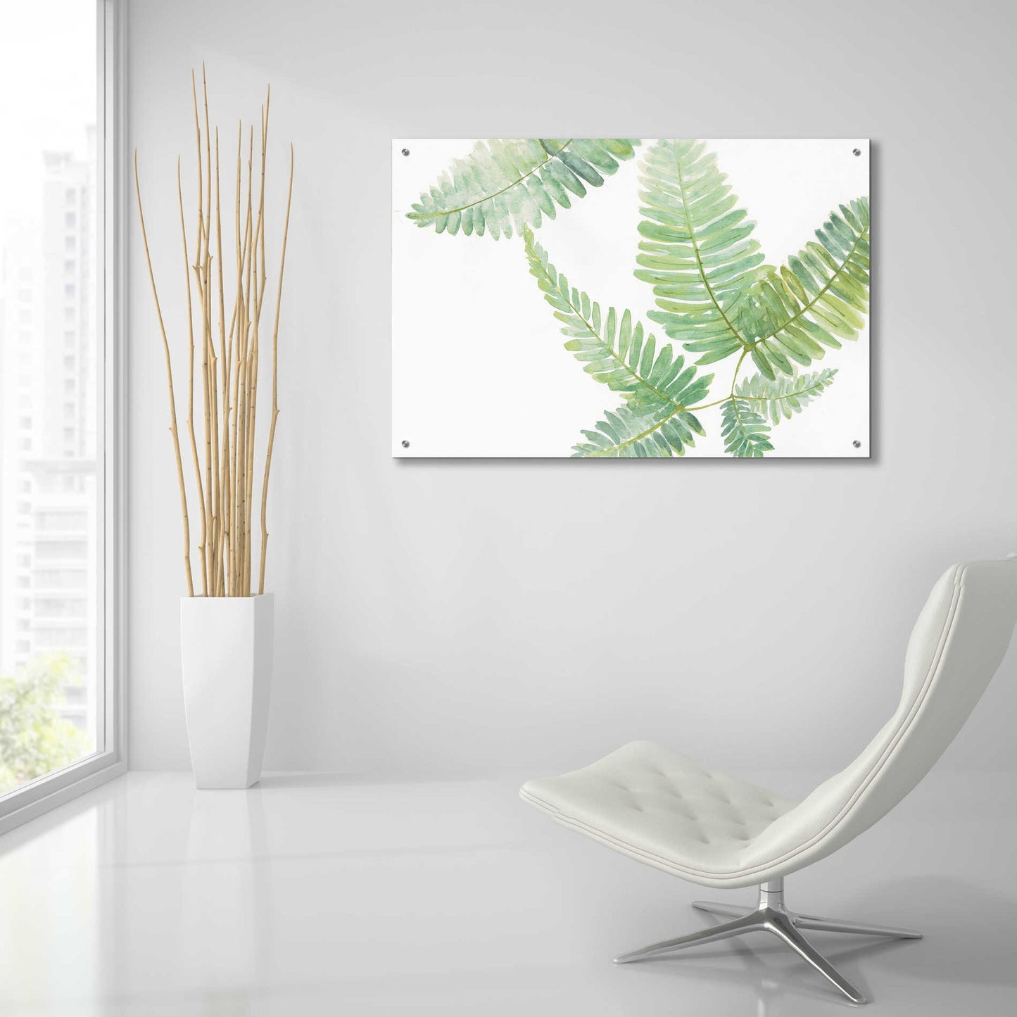 Epic Art 'Ferns II' by Chris Paschke, Acrylic Glass Wall Art,36x24