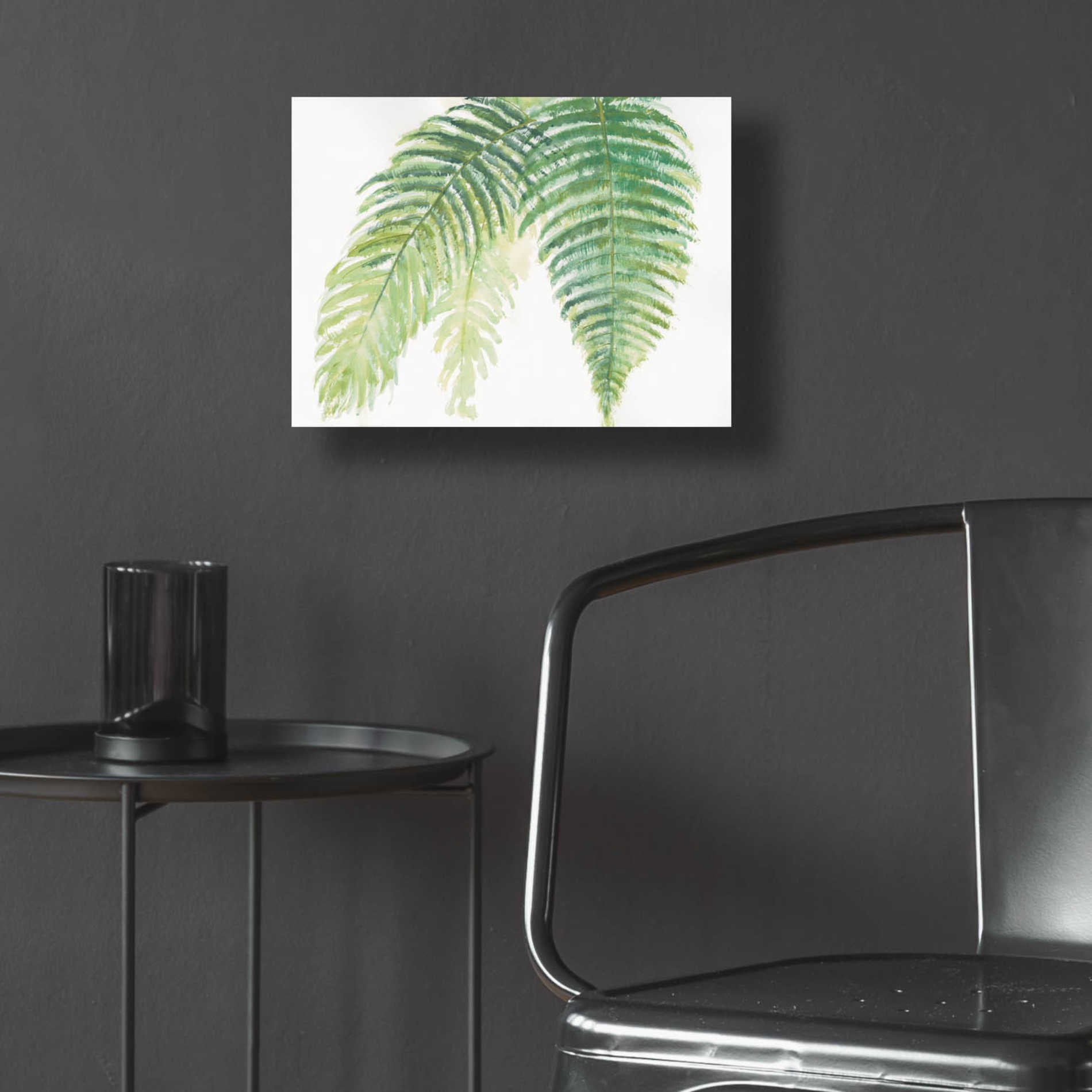 Epic Art 'Ferns III' by Chris Paschke, Acrylic Glass Wall Art,16x12