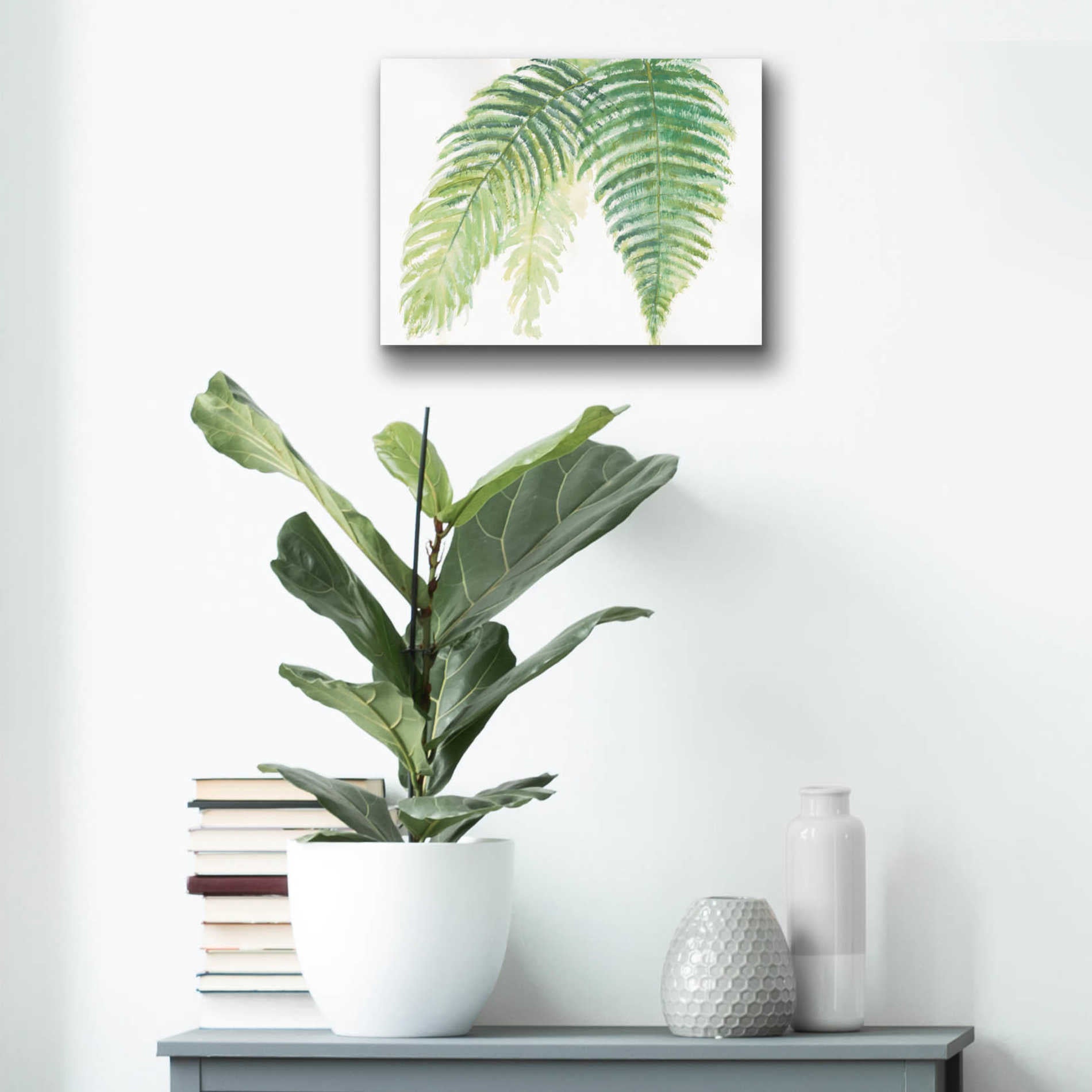 Epic Art 'Ferns III' by Chris Paschke, Acrylic Glass Wall Art,16x12