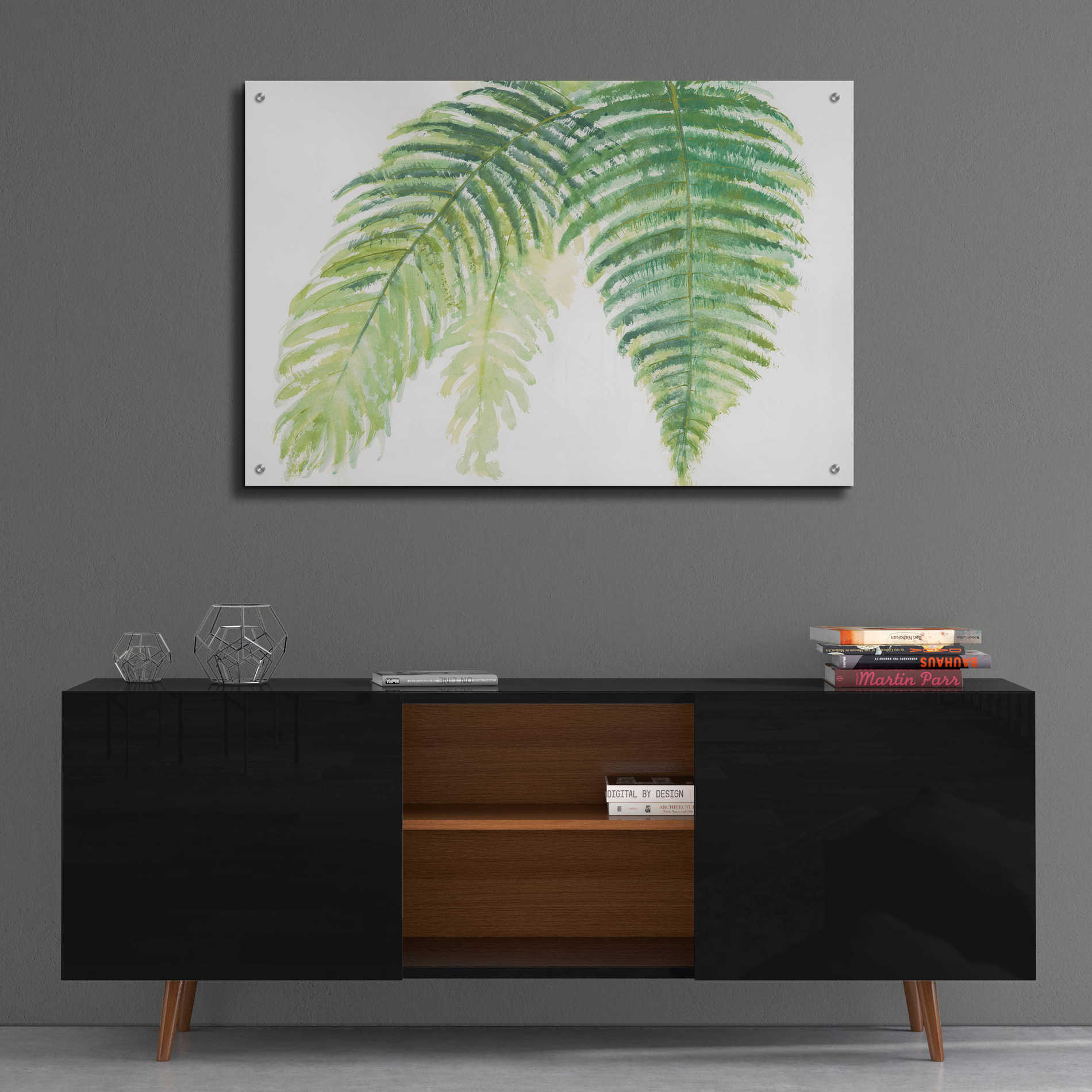 Epic Art 'Ferns III' by Chris Paschke, Acrylic Glass Wall Art,36x24