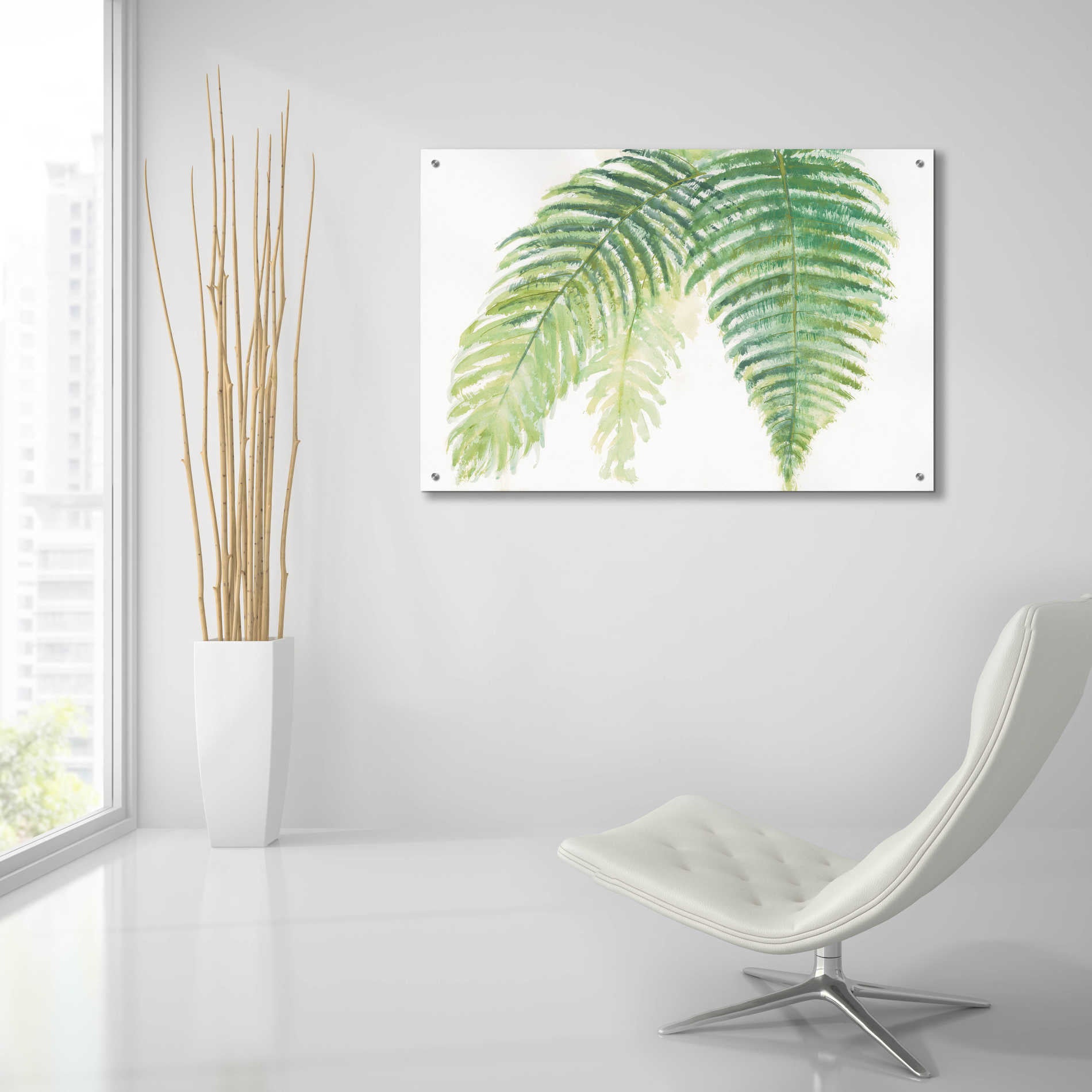 Epic Art 'Ferns III' by Chris Paschke, Acrylic Glass Wall Art,36x24