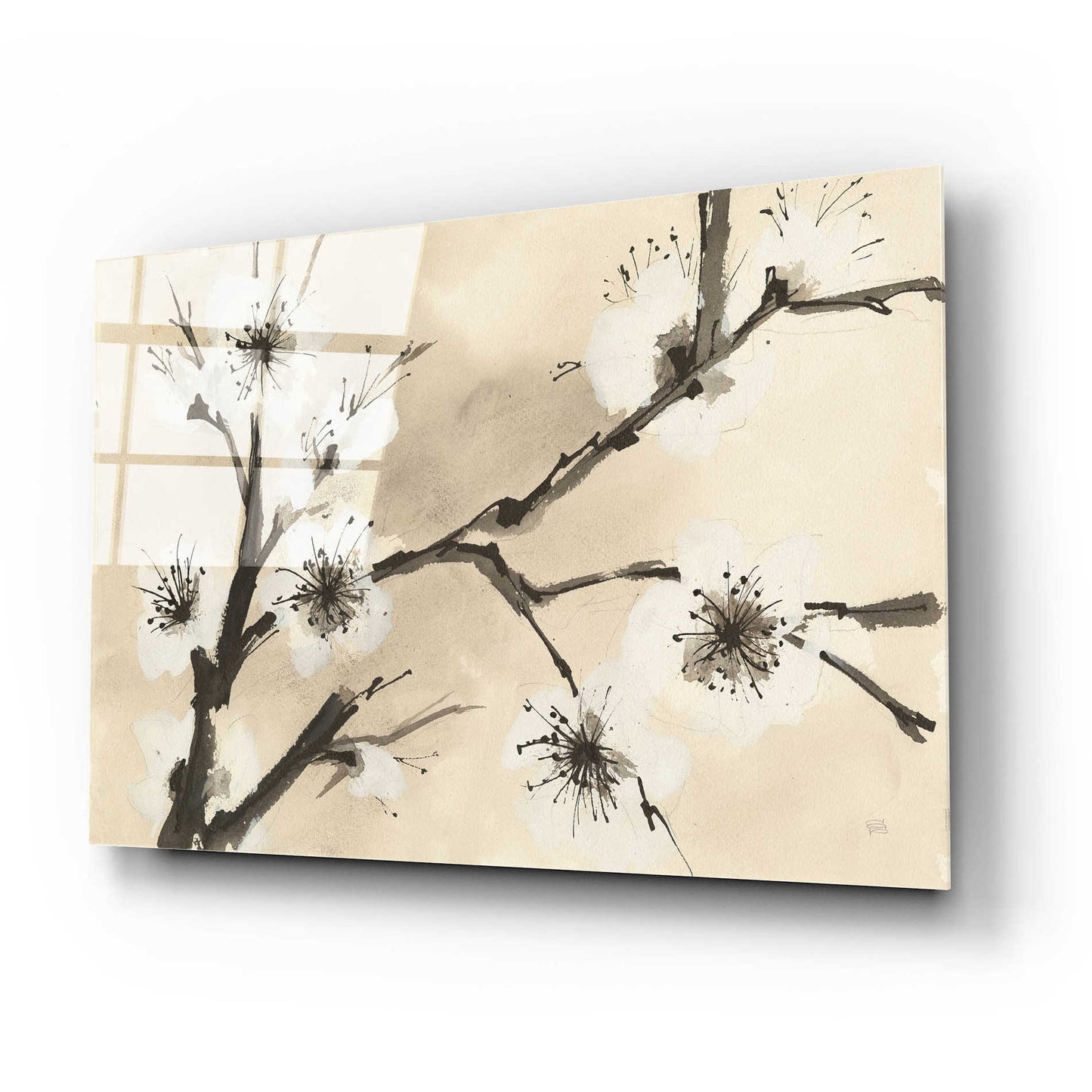 Epic Art 'Spring Blossoms II' by Chris Paschke, Acrylic Glass Wall Art,24x16