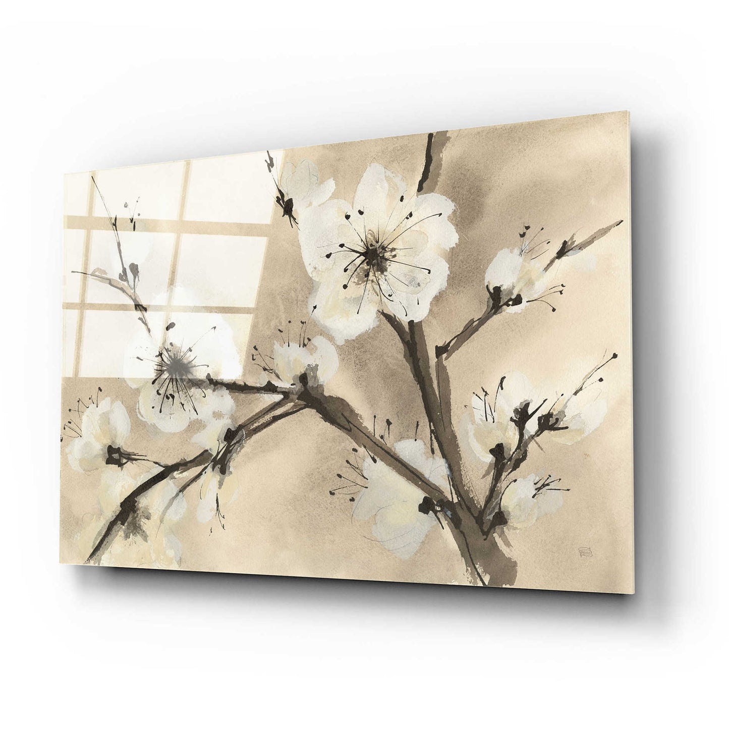 Epic Art 'Spring Blossoms III' by Chris Paschke, Acrylic Glass Wall Art,24x16