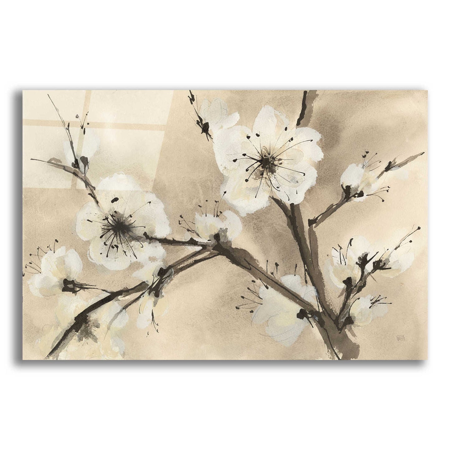 Epic Art 'Spring Blossoms III' by Chris Paschke, Acrylic Glass Wall Art,24x16