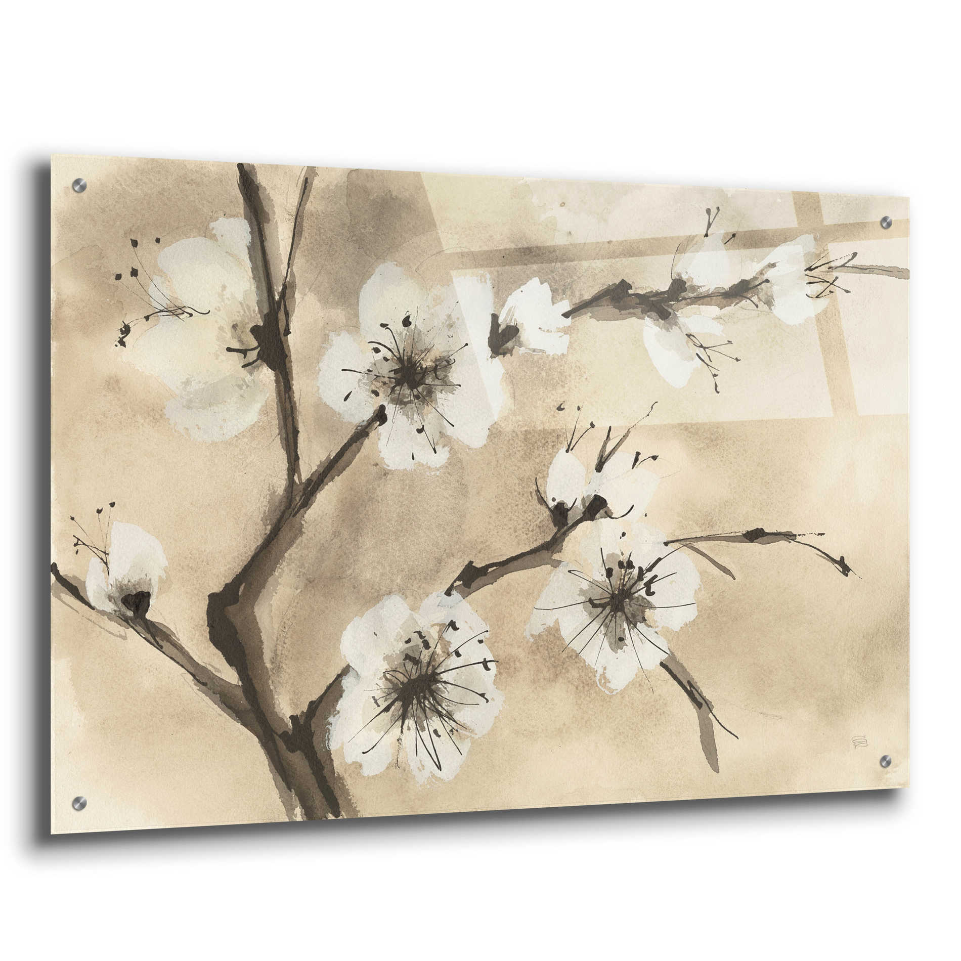 Epic Art 'Spring Blossoms IV' by Chris Paschke, Acrylic Glass Wall Art,36x24