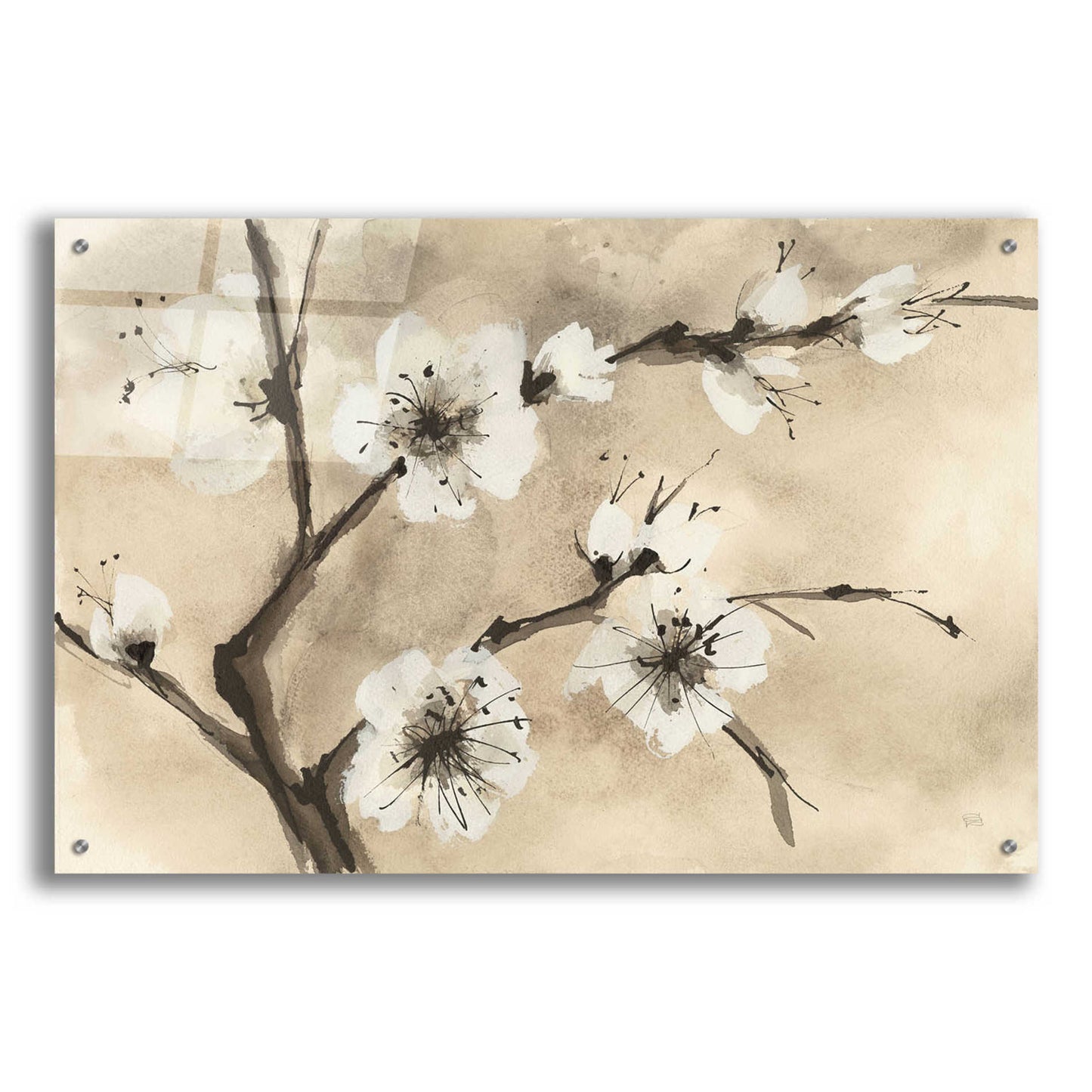 Epic Art 'Spring Blossoms IV' by Chris Paschke, Acrylic Glass Wall Art,36x24