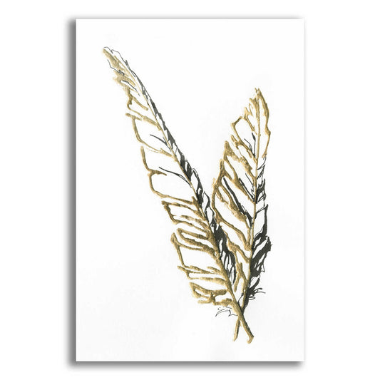 Epic Art 'Gilded Raven Feather' by Chris Paschke, Acrylic Glass Wall Art