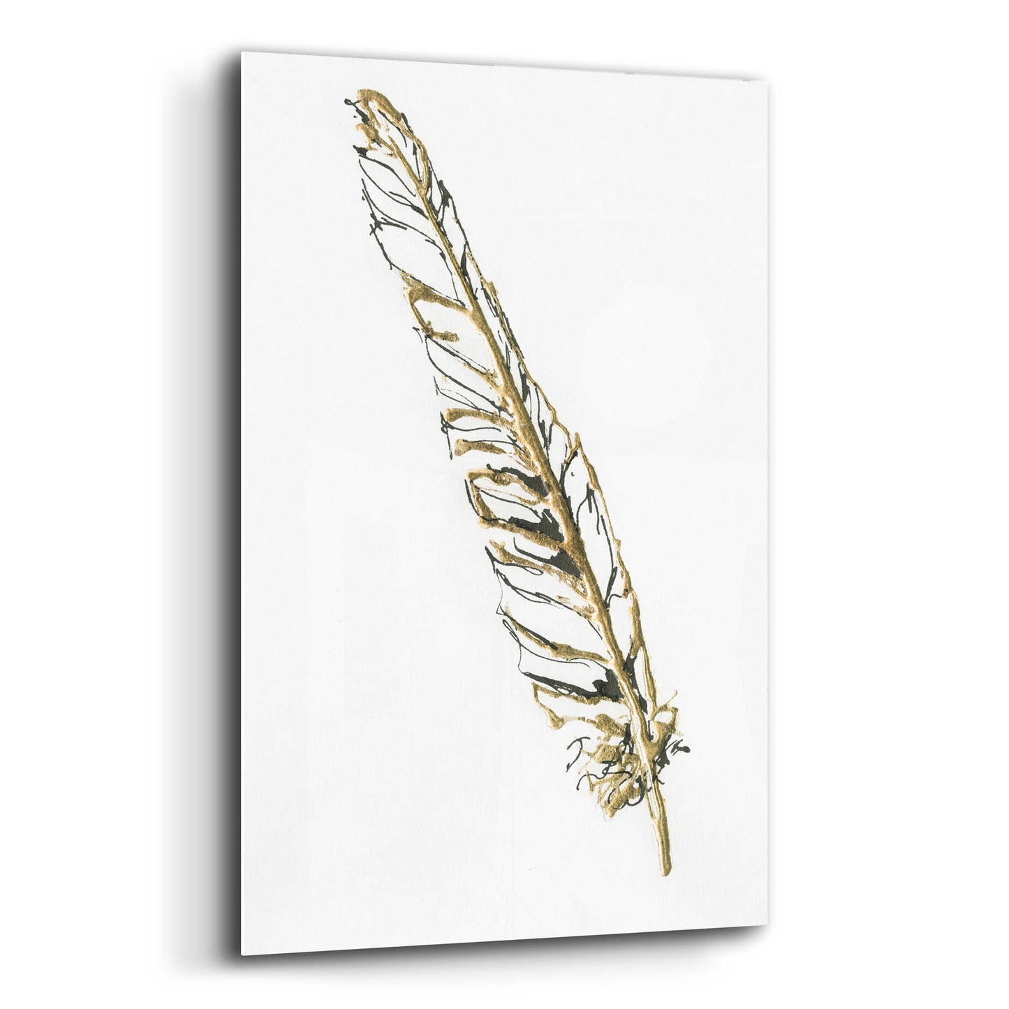 Epic Art 'Gilded Swan Feather I' by Chris Paschke, Acrylic Glass Wall Art,12x16