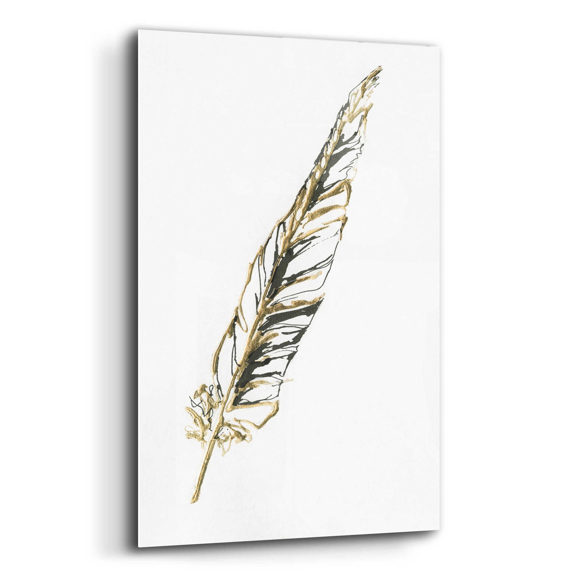 Epic Art 'Gilded Swan Feather II' by Chris Paschke, Acrylic Glass Wall Art,12x16