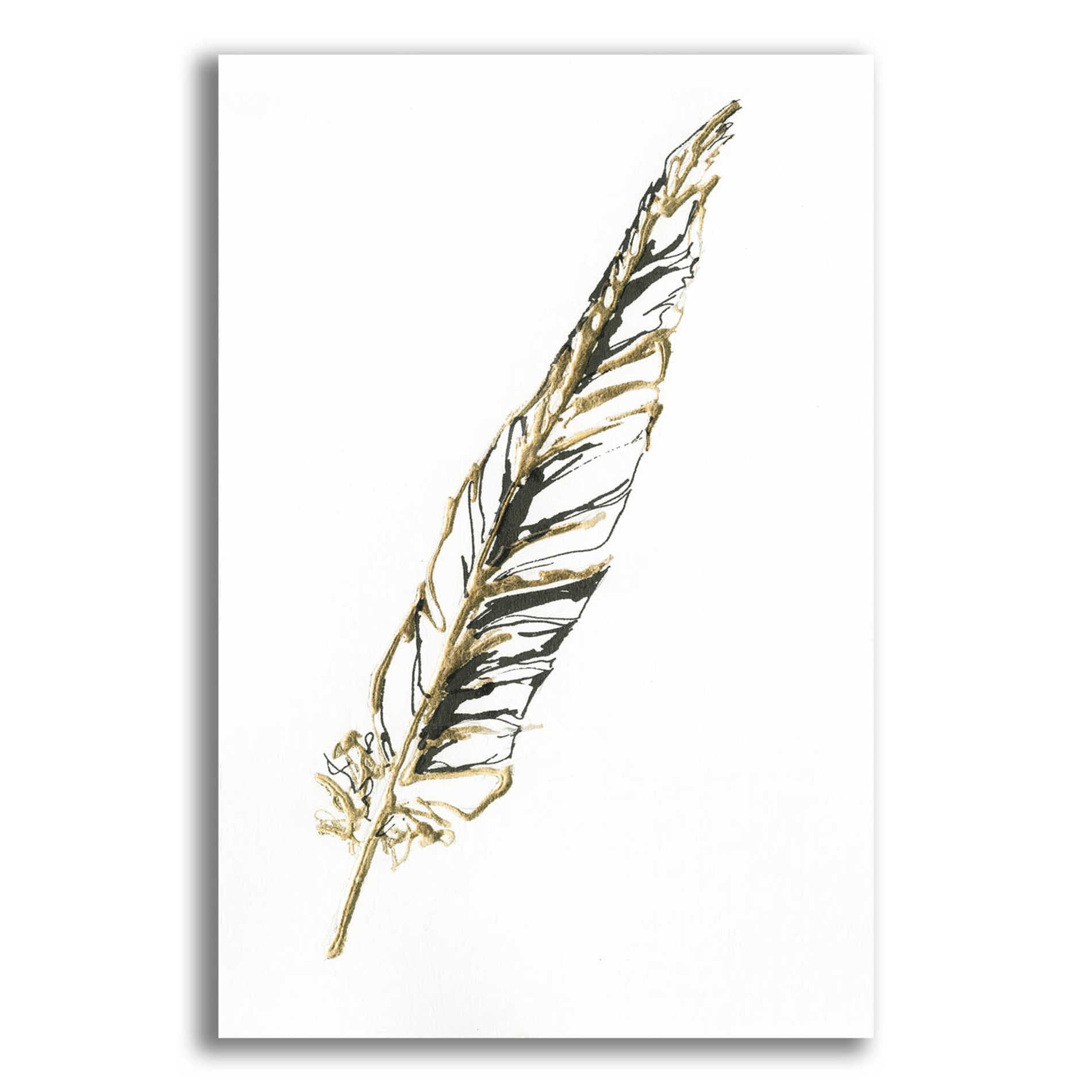 Epic Art 'Gilded Swan Feather II' by Chris Paschke, Acrylic Glass Wall Art,12x16