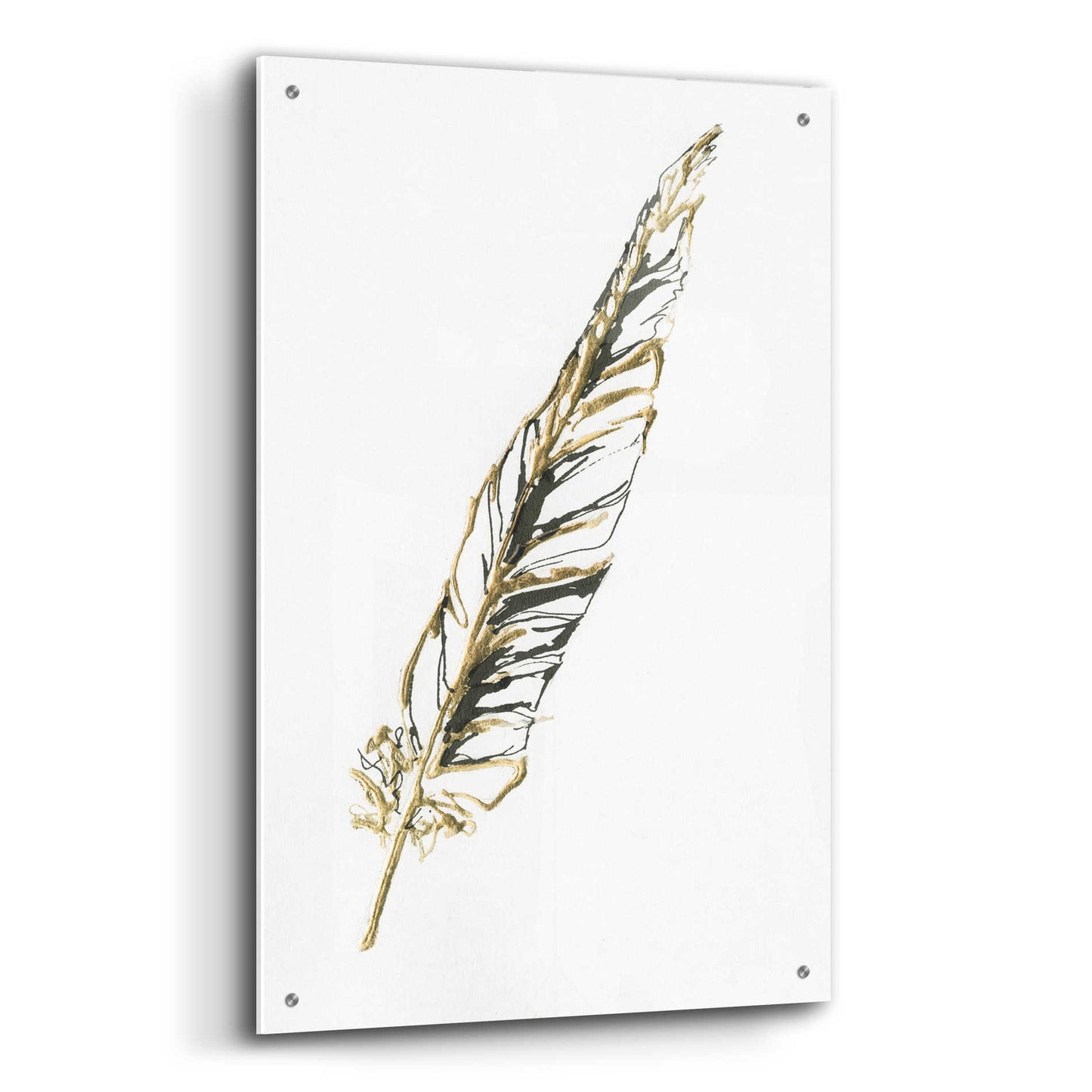 Epic Art 'Gilded Swan Feather II' by Chris Paschke, Acrylic Glass Wall Art,24x36