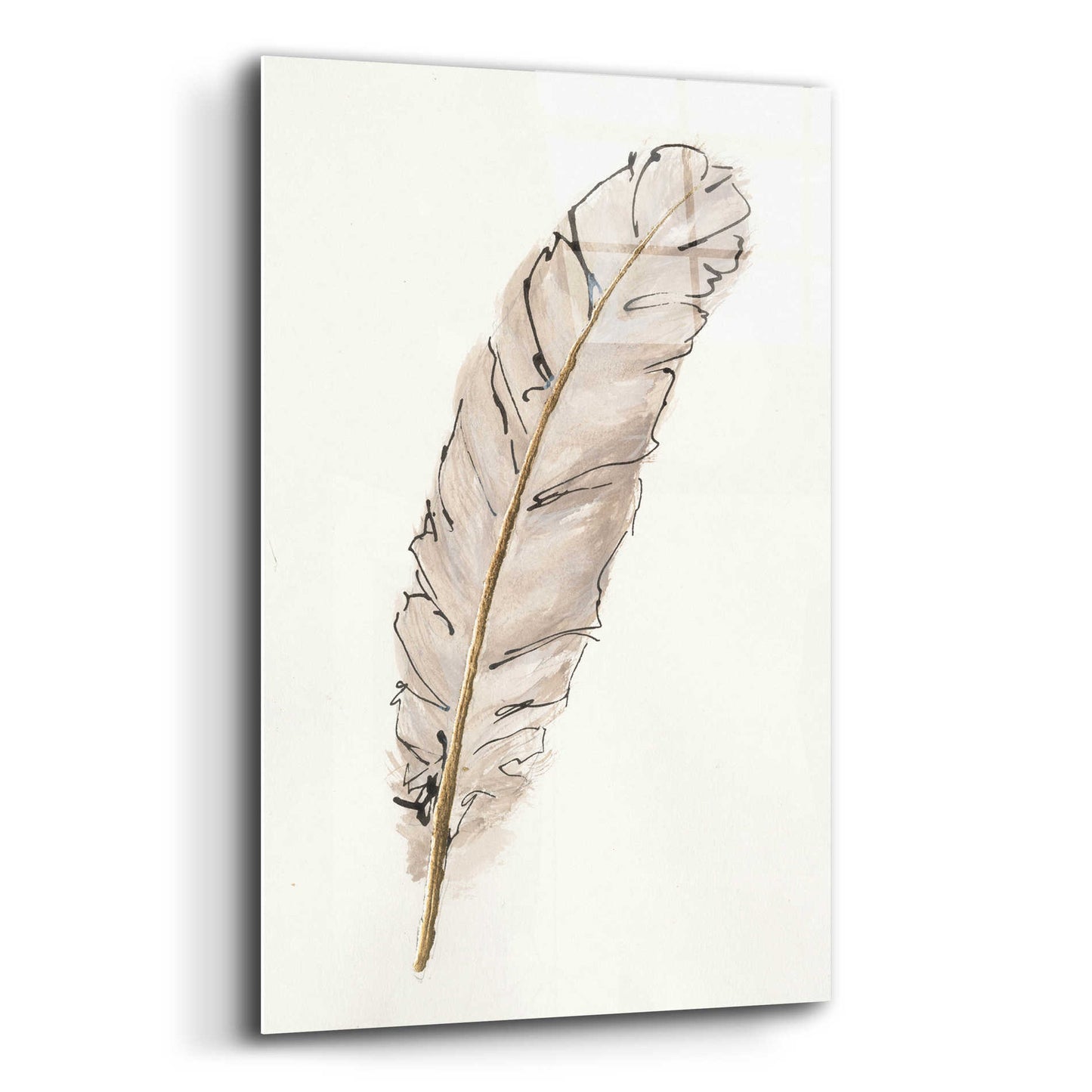 Epic Art 'Gold Feathers IX' by Chris Paschke, Acrylic Glass Wall Art,12x16