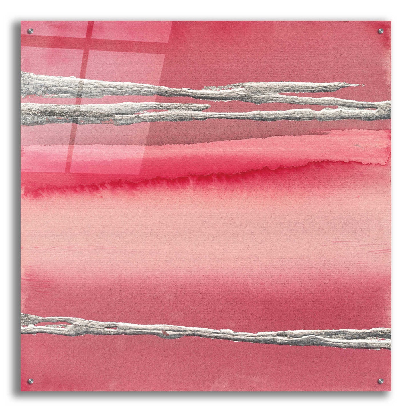 Epic Art 'Silver Rose I' by Chris Paschke, Acrylic Glass Wall Art,36x36