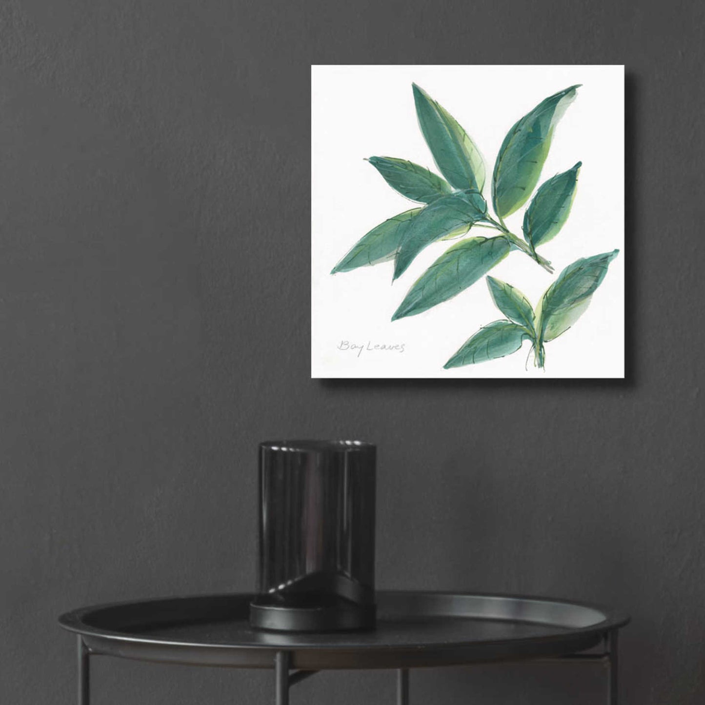 Epic Art 'Bay Leaf' by Chris Paschke, Acrylic Glass Wall Art,12x12