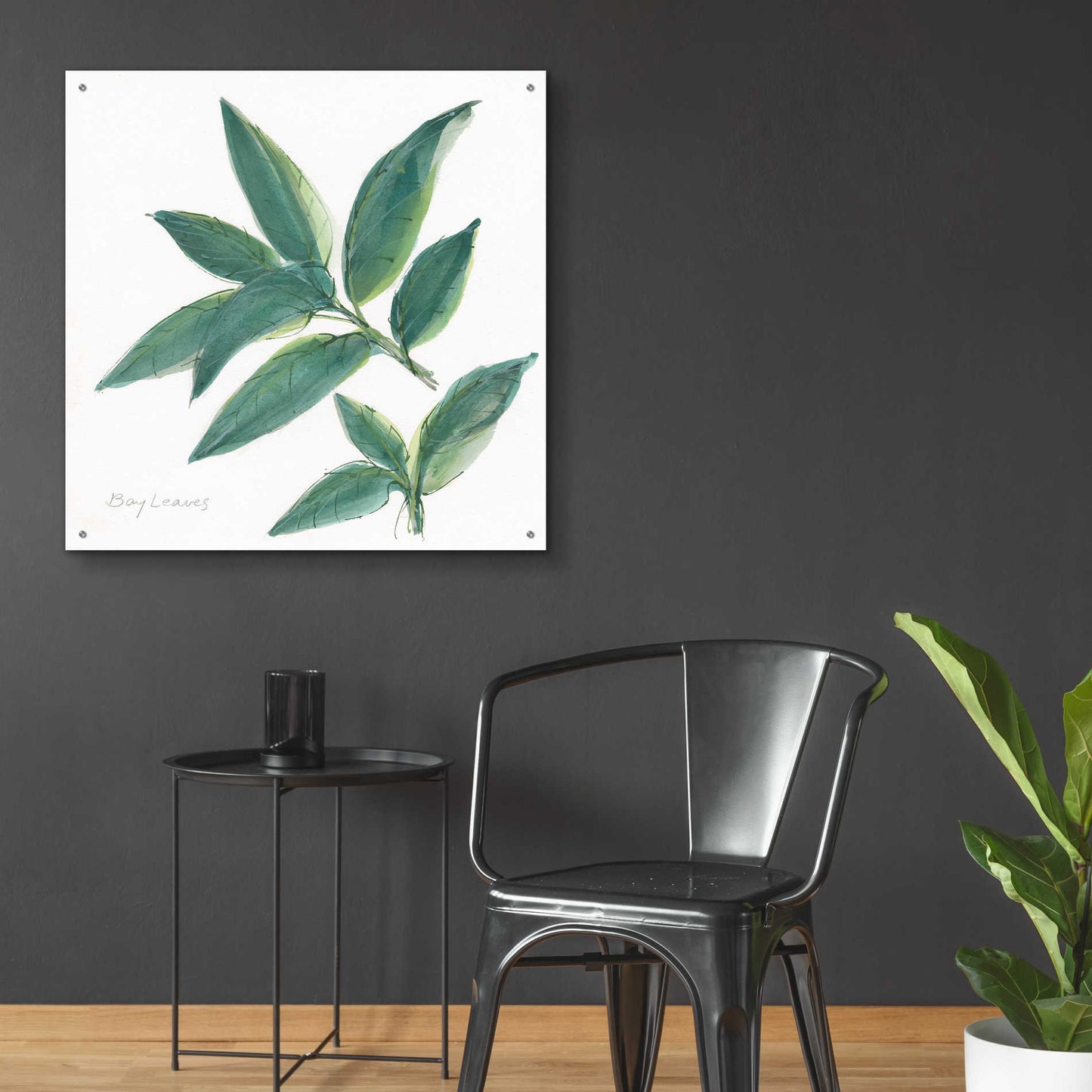 Epic Art 'Bay Leaf' by Chris Paschke, Acrylic Glass Wall Art,36x36