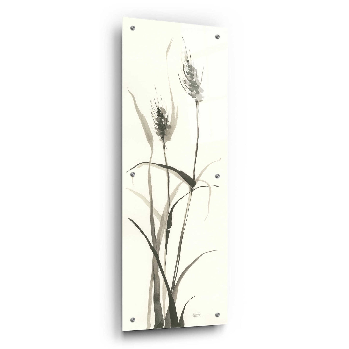 Epic Art 'Wild Grass I' by Chris Paschke, Acrylic Glass Wall Art,12x36