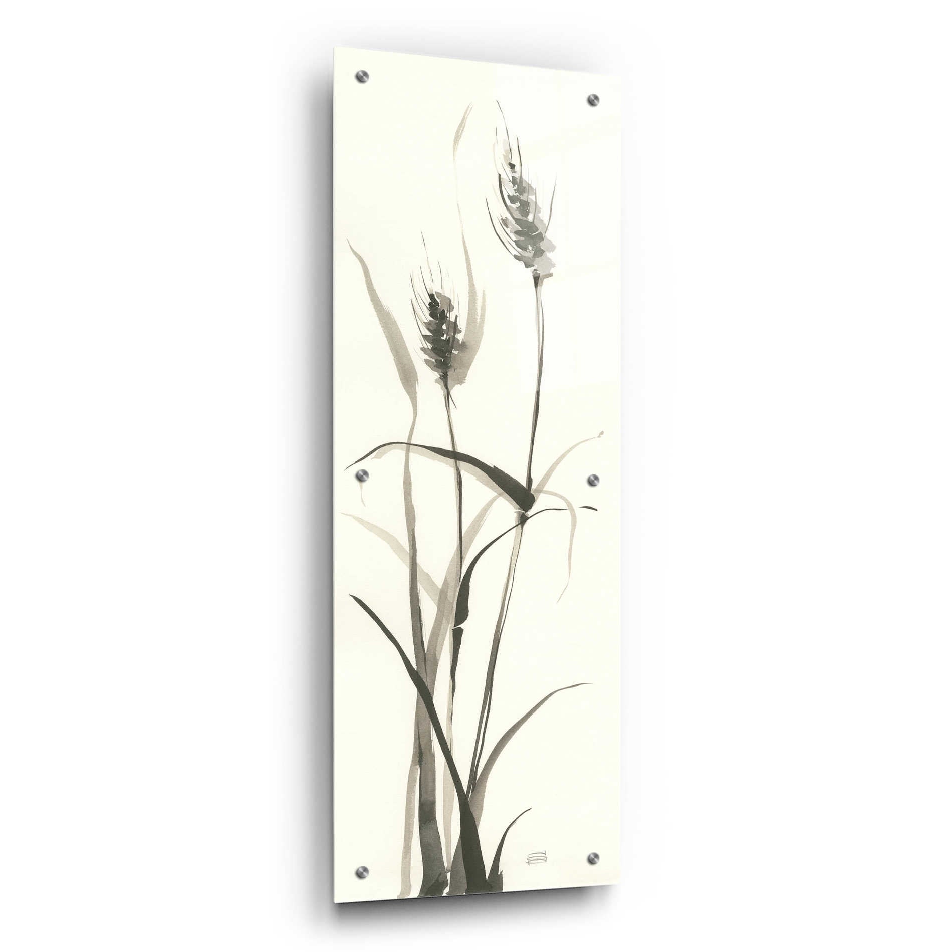 Epic Art 'Wild Grass I' by Chris Paschke, Acrylic Glass Wall Art,12x36