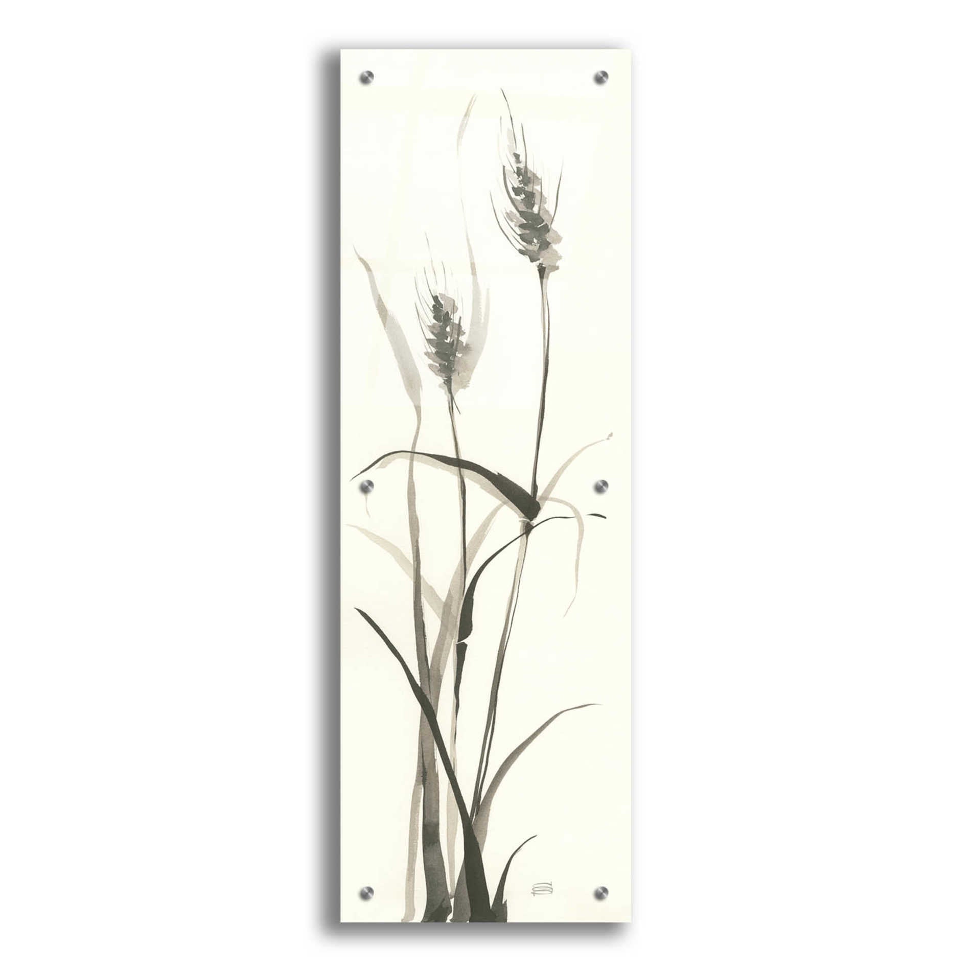 Epic Art 'Wild Grass I' by Chris Paschke, Acrylic Glass Wall Art,12x36