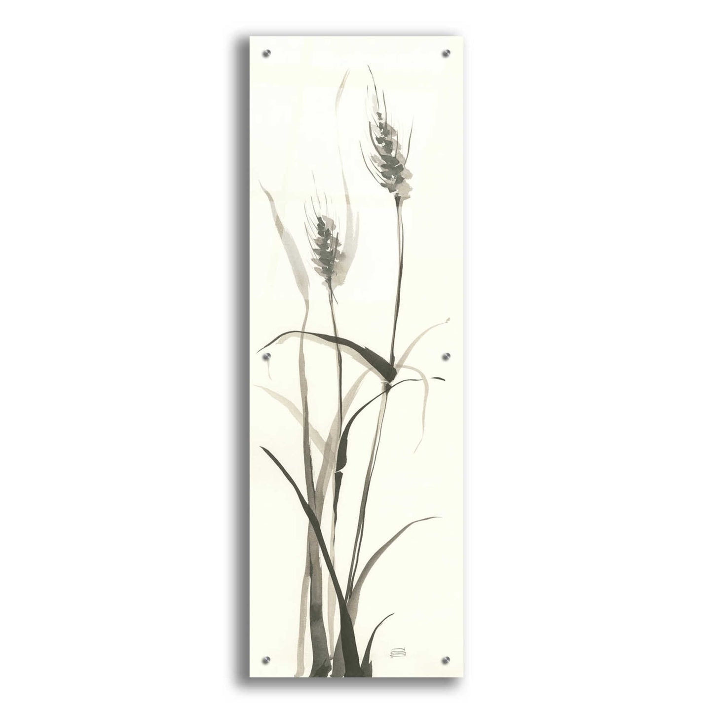 Epic Art 'Wild Grass I' by Chris Paschke, Acrylic Glass Wall Art,16x48