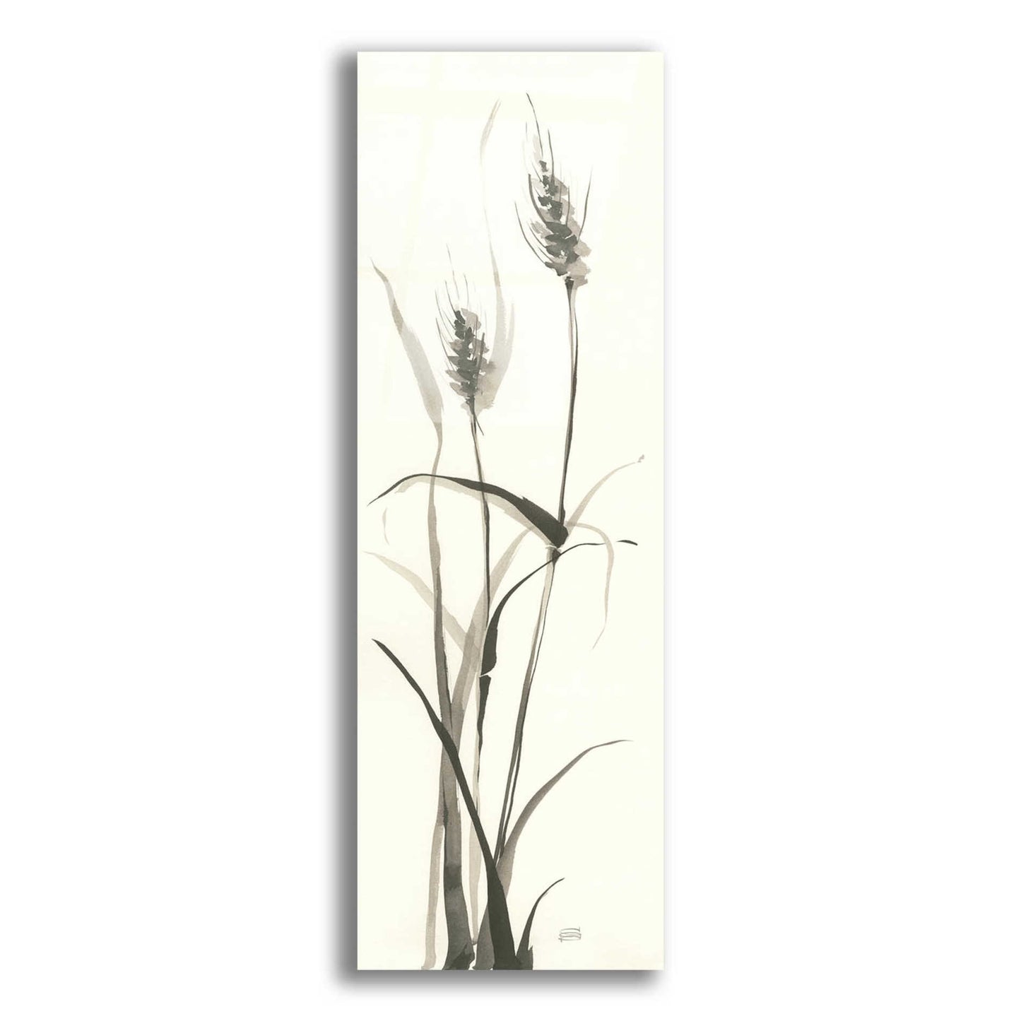 Epic Art 'Wild Grass I' by Chris Paschke, Acrylic Glass Wall Art