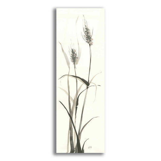 Epic Art 'Wild Grass I' by Chris Paschke, Acrylic Glass Wall Art