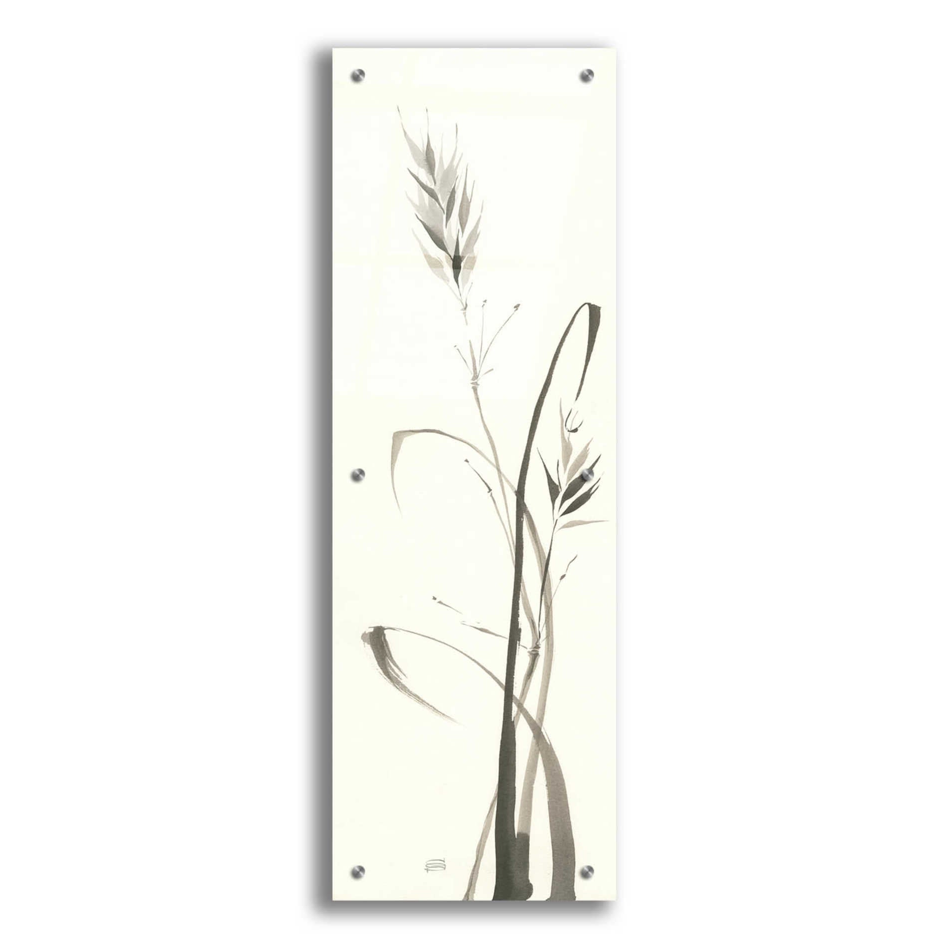 Epic Art 'Wild Grass II' by Chris Paschke, Acrylic Glass Wall Art,12x36