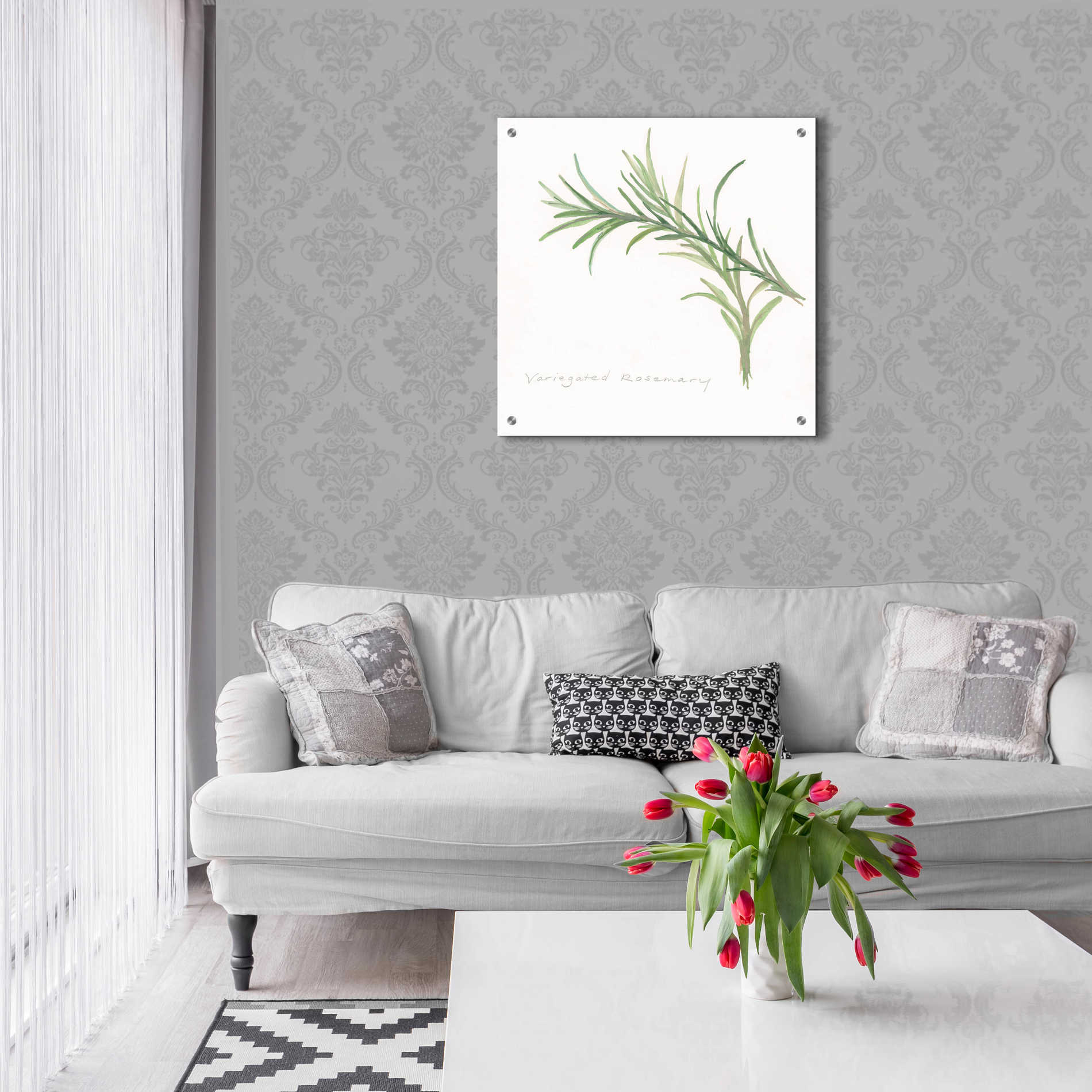 Epic Art 'Variegated Rosemary' by Chris Paschke, Acrylic Glass Wall Art,24x24