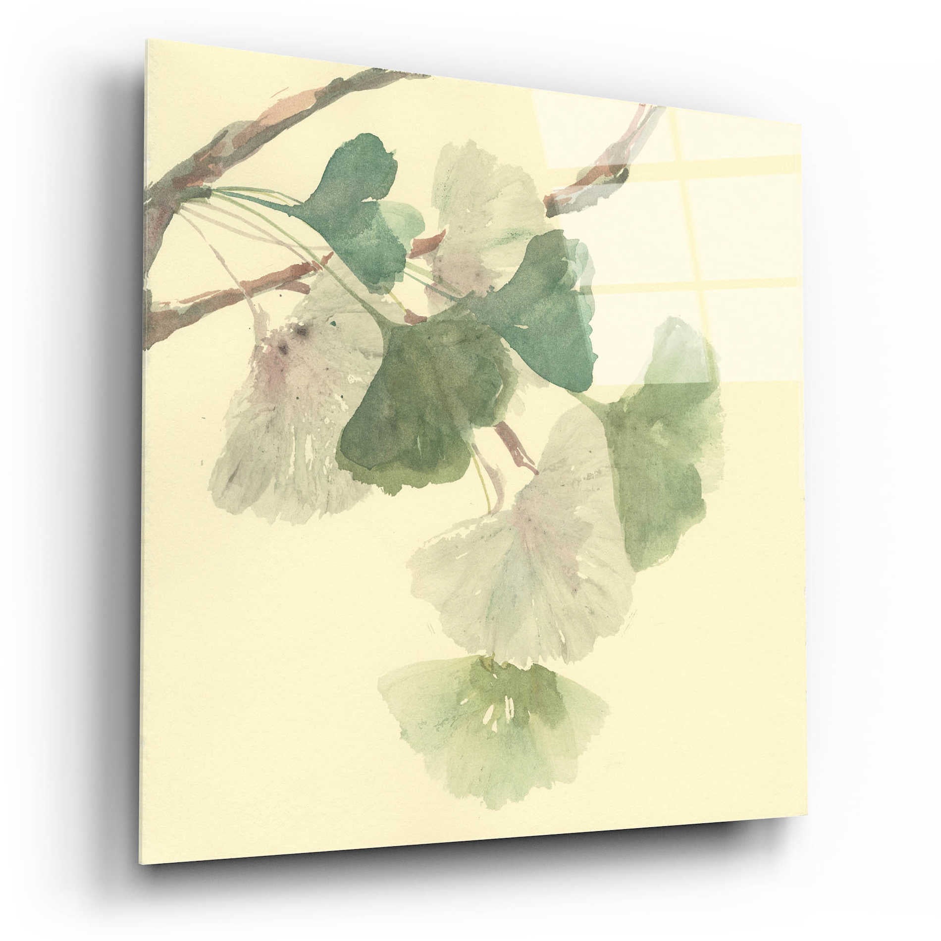 Epic Art 'Gingko Leaves I' by Chris Paschke, Acrylic Glass Wall Art,12x12