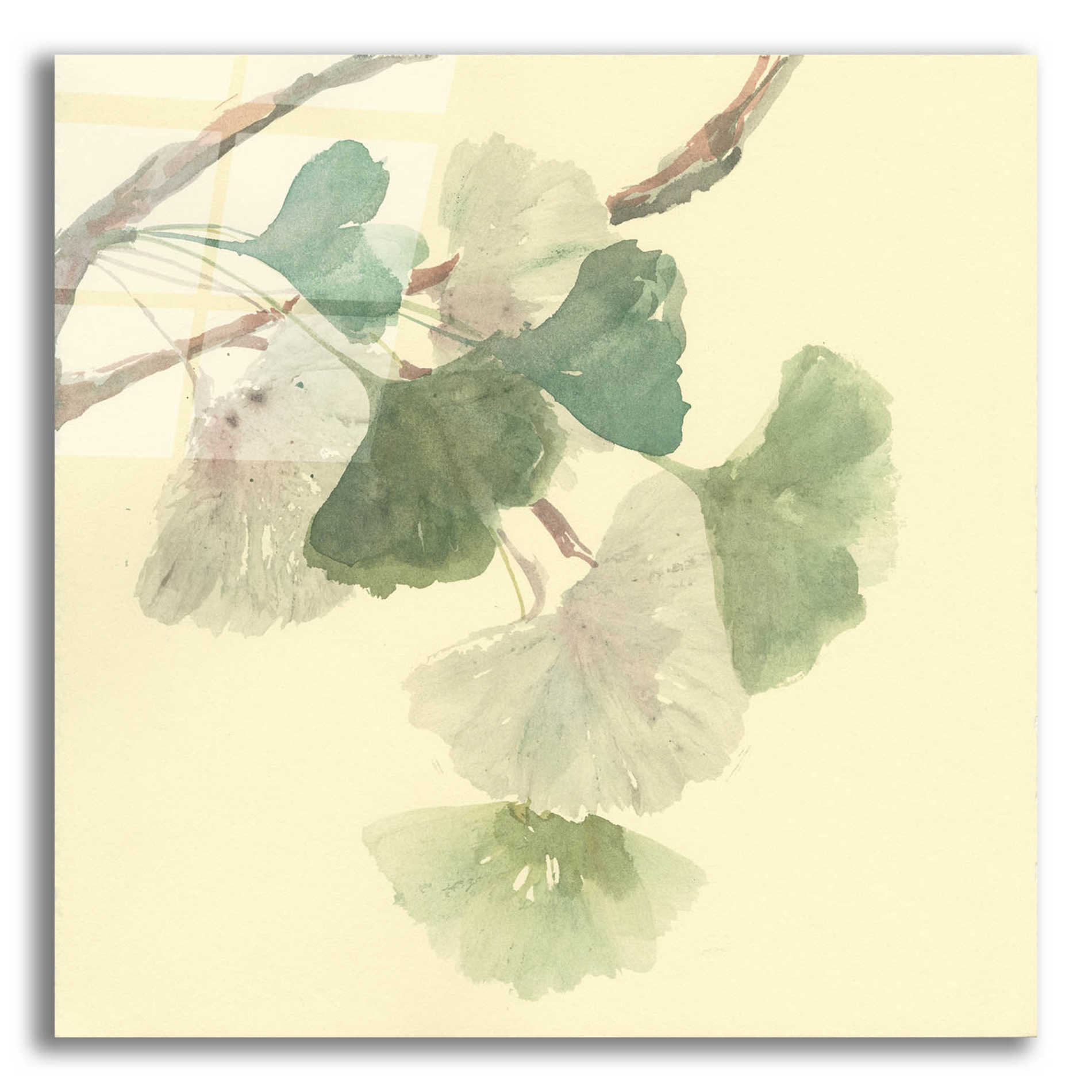 Epic Art 'Gingko Leaves I' by Chris Paschke, Acrylic Glass Wall Art,12x12