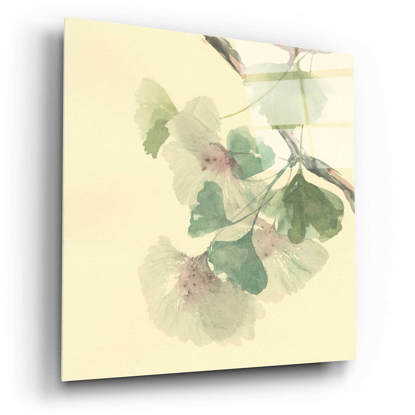 Epic Art 'Gingko Leaves II' by Chris Paschke, Acrylic Glass Wall Art,12x12