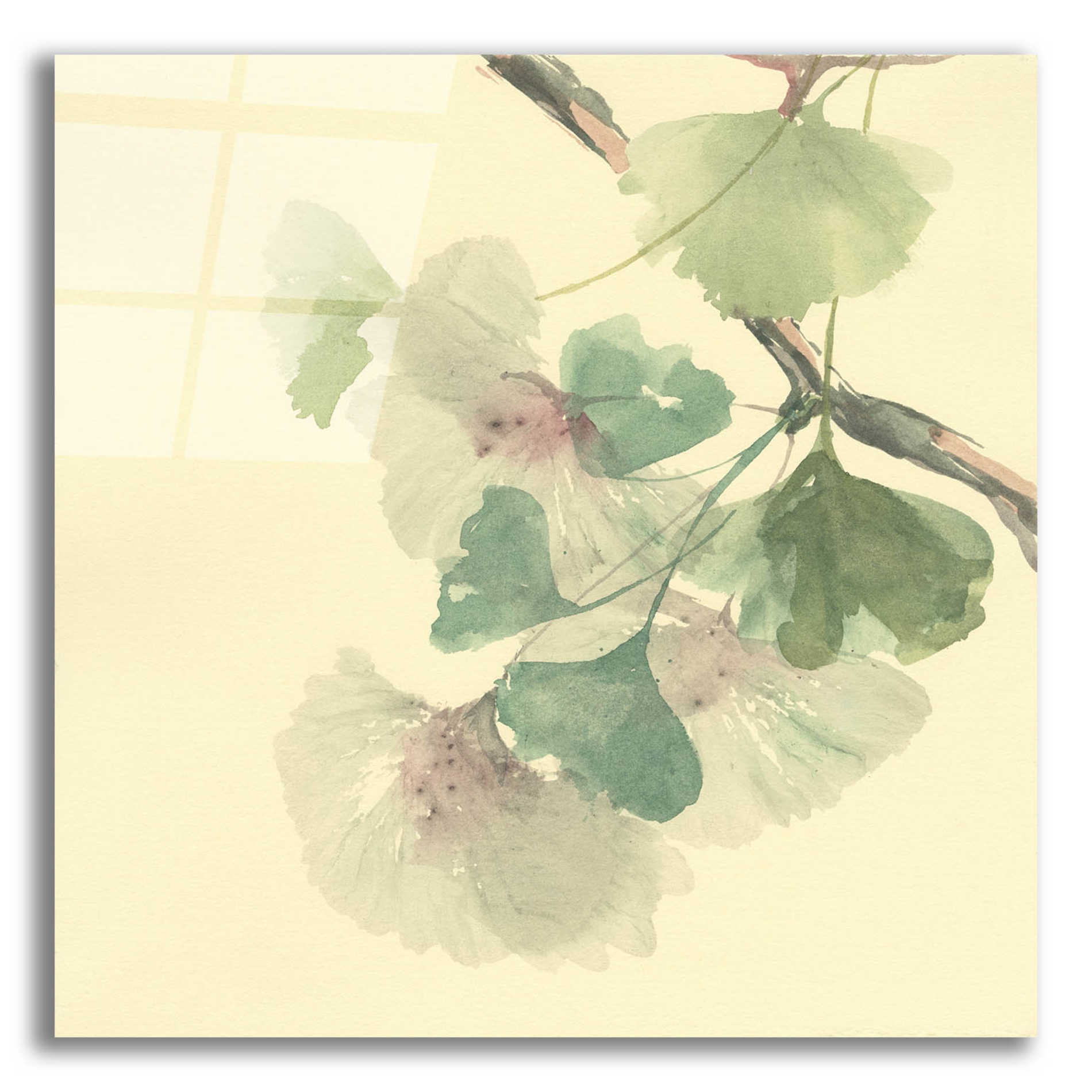 Epic Art 'Gingko Leaves II' by Chris Paschke, Acrylic Glass Wall Art,12x12