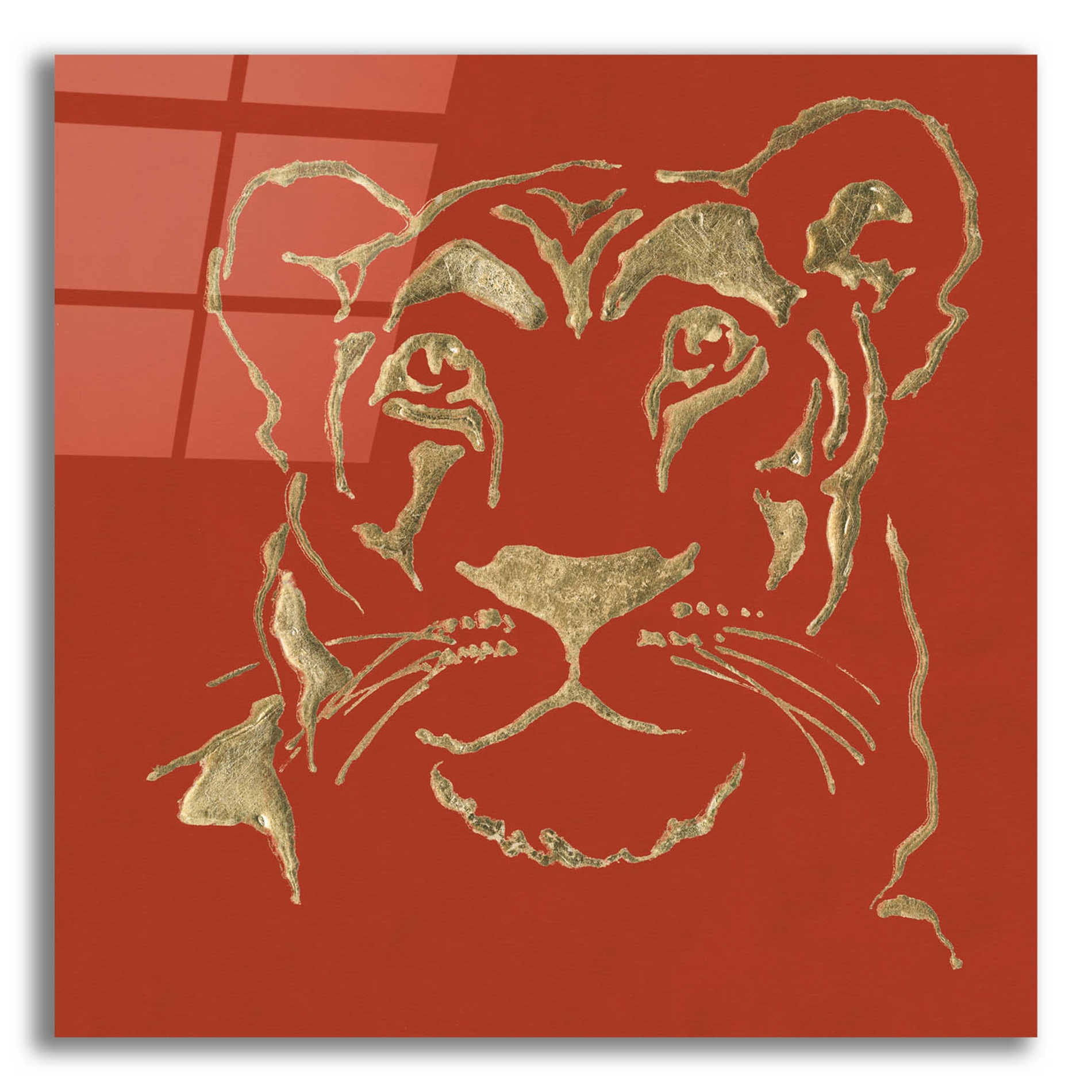 Epic Art 'Gilded Lioness on Red Pillow' by Chris Paschke, Acrylic Glass Wall Art,12x12