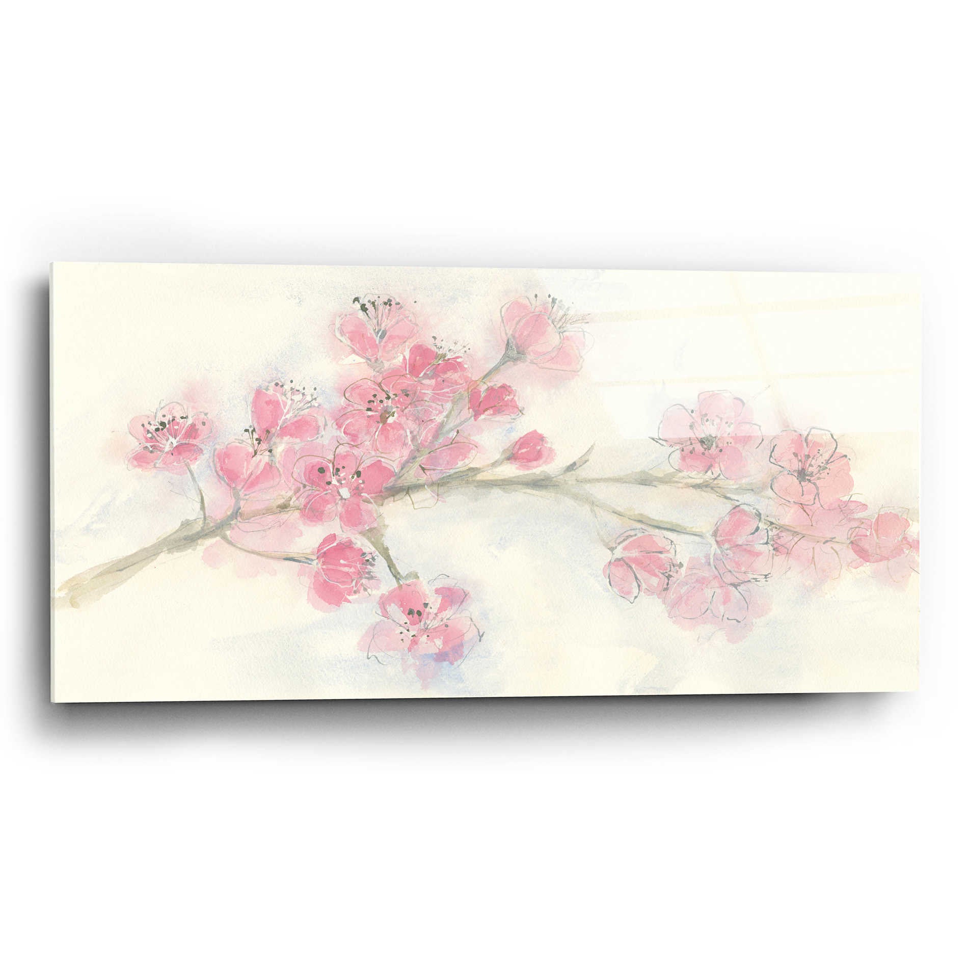 Epic Art 'Cherry Blossom I' by Chris Paschke, Acrylic Glass Wall Art,24x12