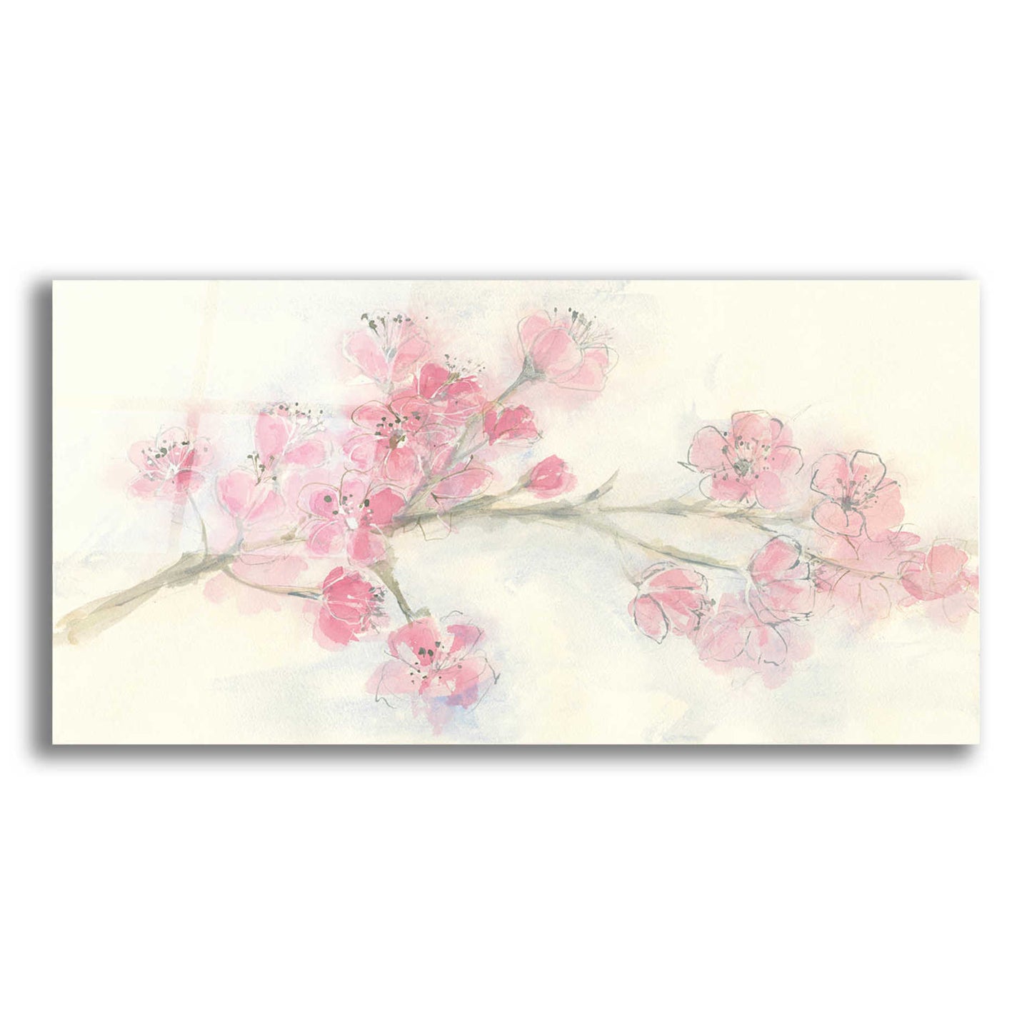 Epic Art 'Cherry Blossom I' by Chris Paschke, Acrylic Glass Wall Art,24x12