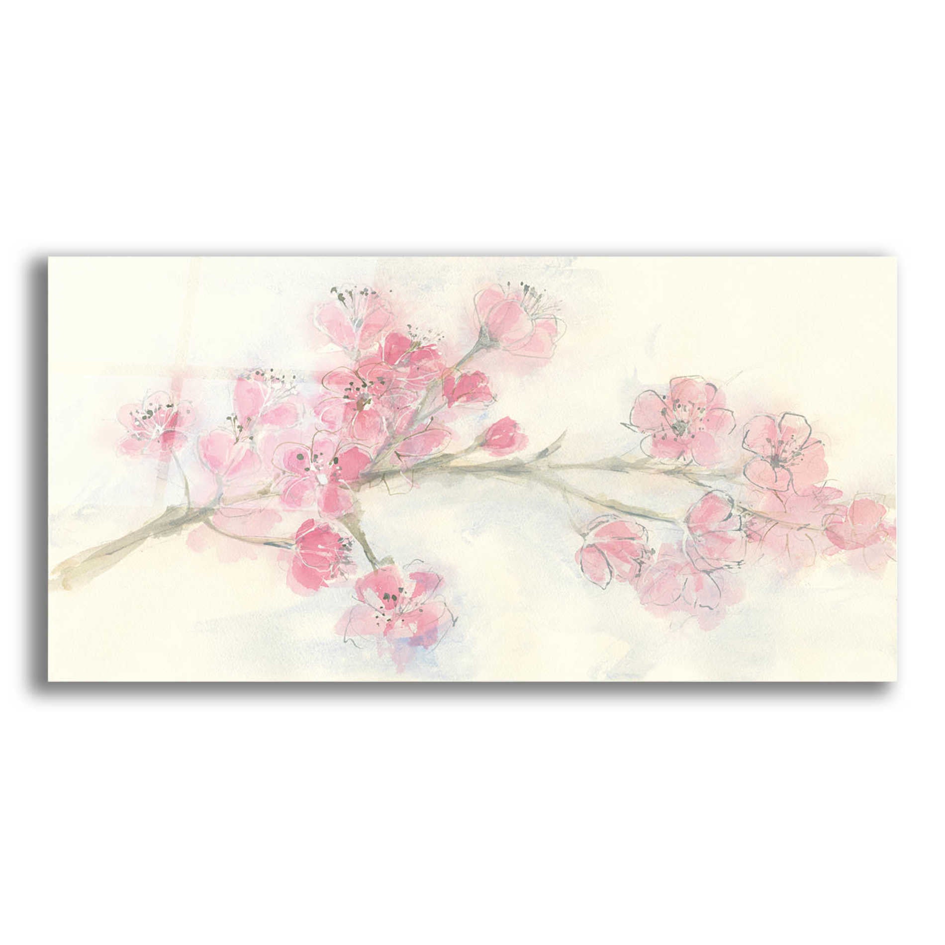 Epic Art 'Cherry Blossom I' by Chris Paschke, Acrylic Glass Wall Art,24x12