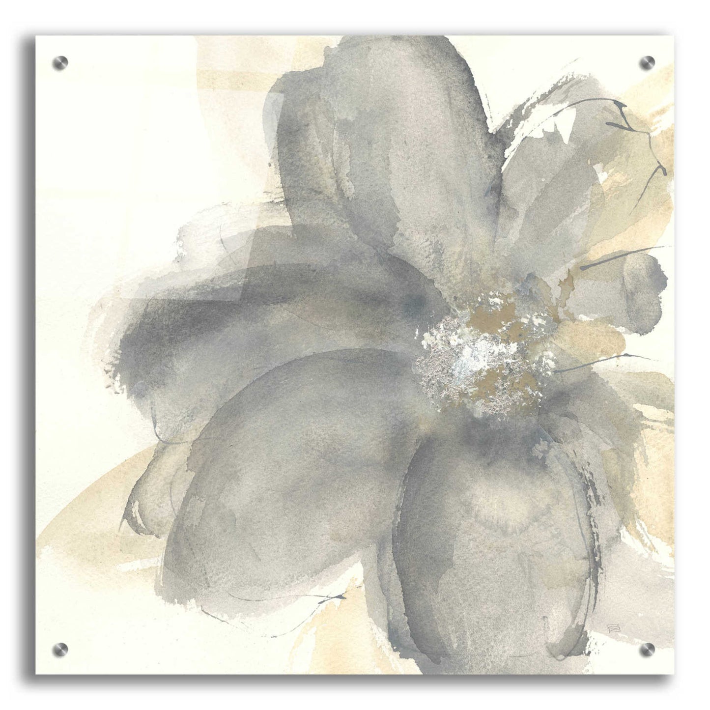 Epic Art  'Floral Gray I' by Chris Paschke,24x24