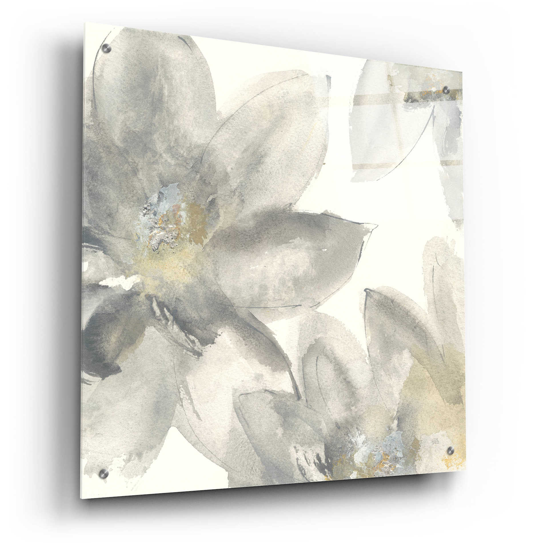 Epic Art  'Gray And Silver Flowers I' by Chris Paschke,24x24