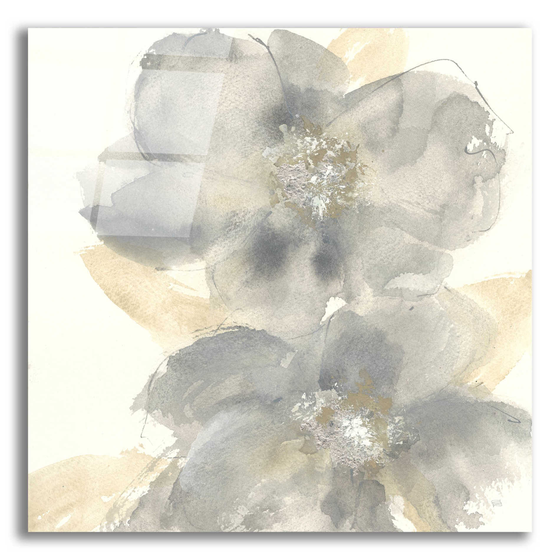 Epic Art  'Floral Gray II' by Chris Paschke,12x12