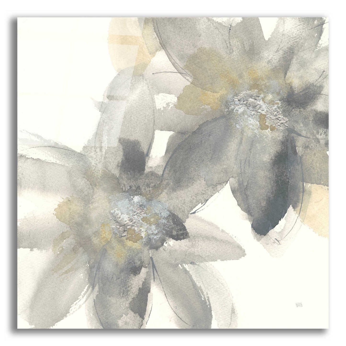 Epic Art  'Gray And Silver Flowers II' by Chris Paschke,12x12