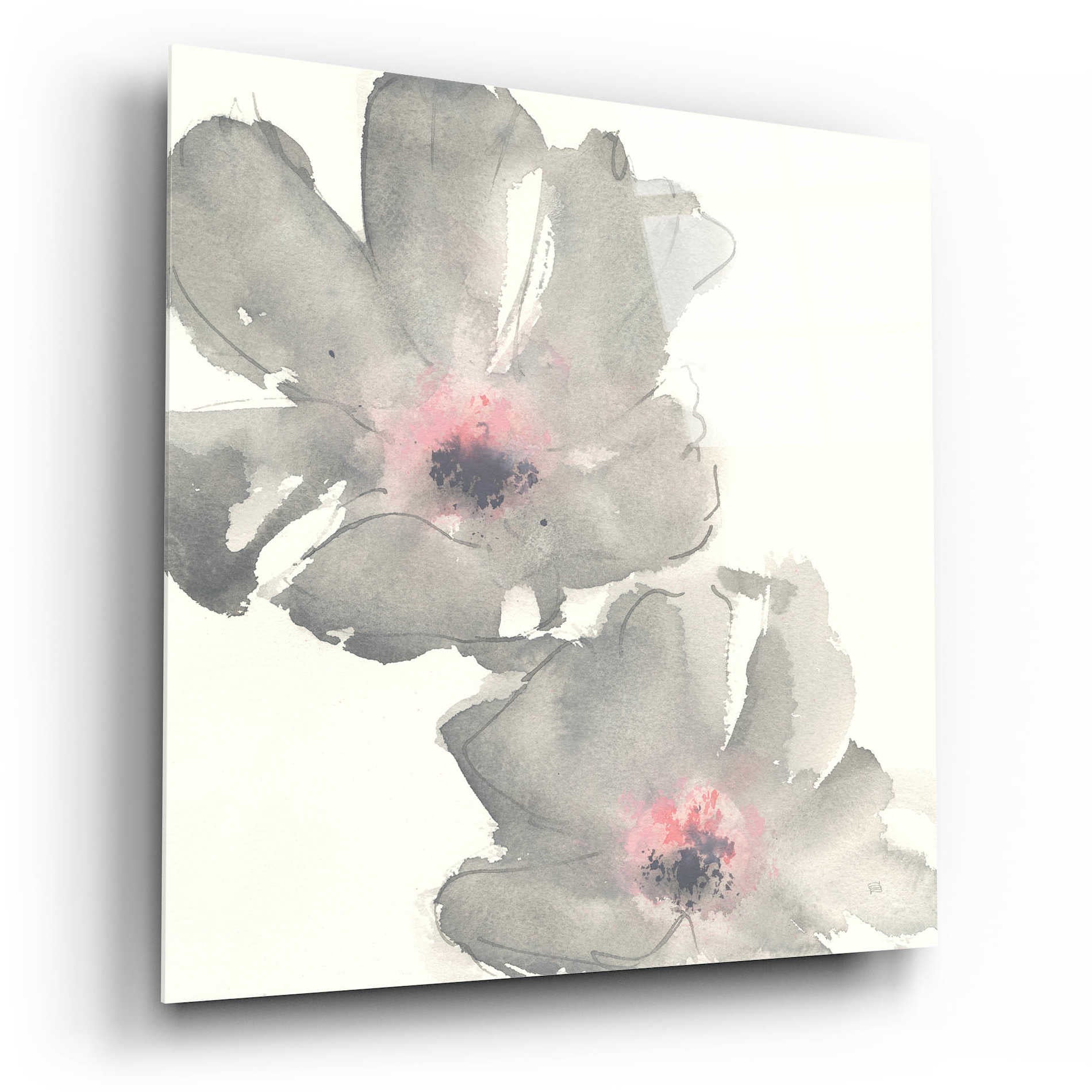 Epic Art  'Gray Blush Cosmos I' by Chris Paschke,12x12