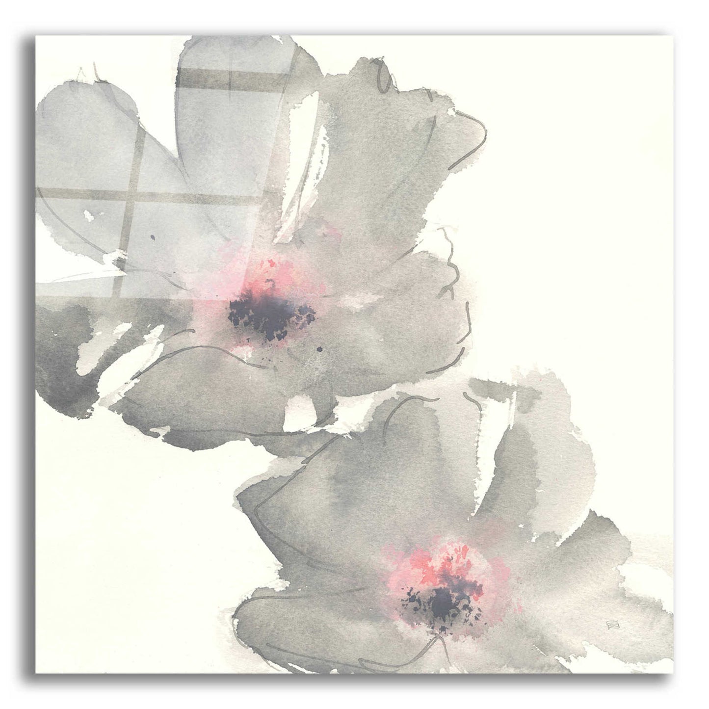 Epic Art  'Gray Blush Cosmos I' by Chris Paschke,12x12