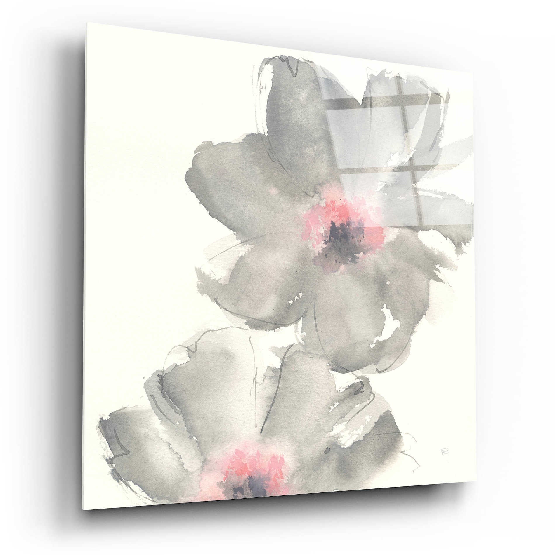 Epic Art  'Gray Blush Cosmos II' by Chris Paschke,12x12