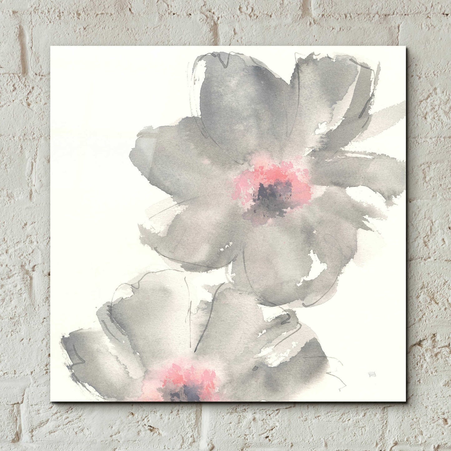 Epic Art  'Gray Blush Cosmos II' by Chris Paschke,12x12